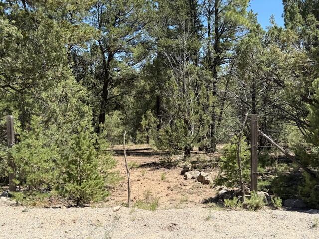 15 Memory Lane, Tijeras, New Mexico image 8