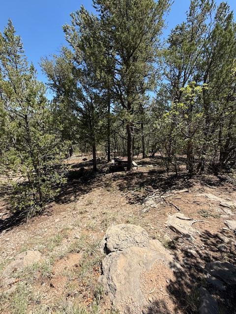15 Memory Lane, Tijeras, New Mexico image 10