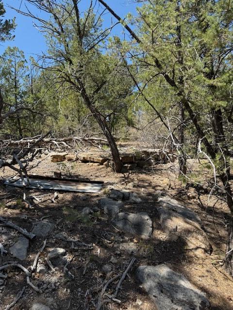 15 Memory Lane, Tijeras, New Mexico image 7