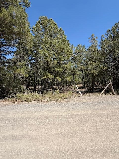 15 Memory Lane, Tijeras, New Mexico image 2