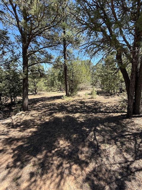 15 Memory Lane, Tijeras, New Mexico image 9