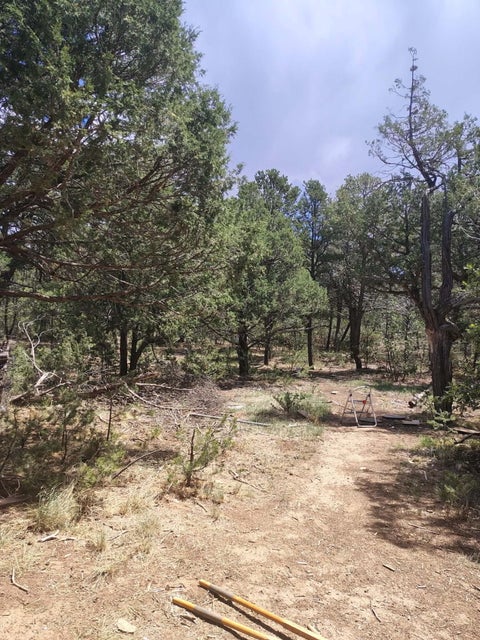 Vacant Land For Sale - 12 Quail Hollow Road<br/> Tijeras, NM 87059