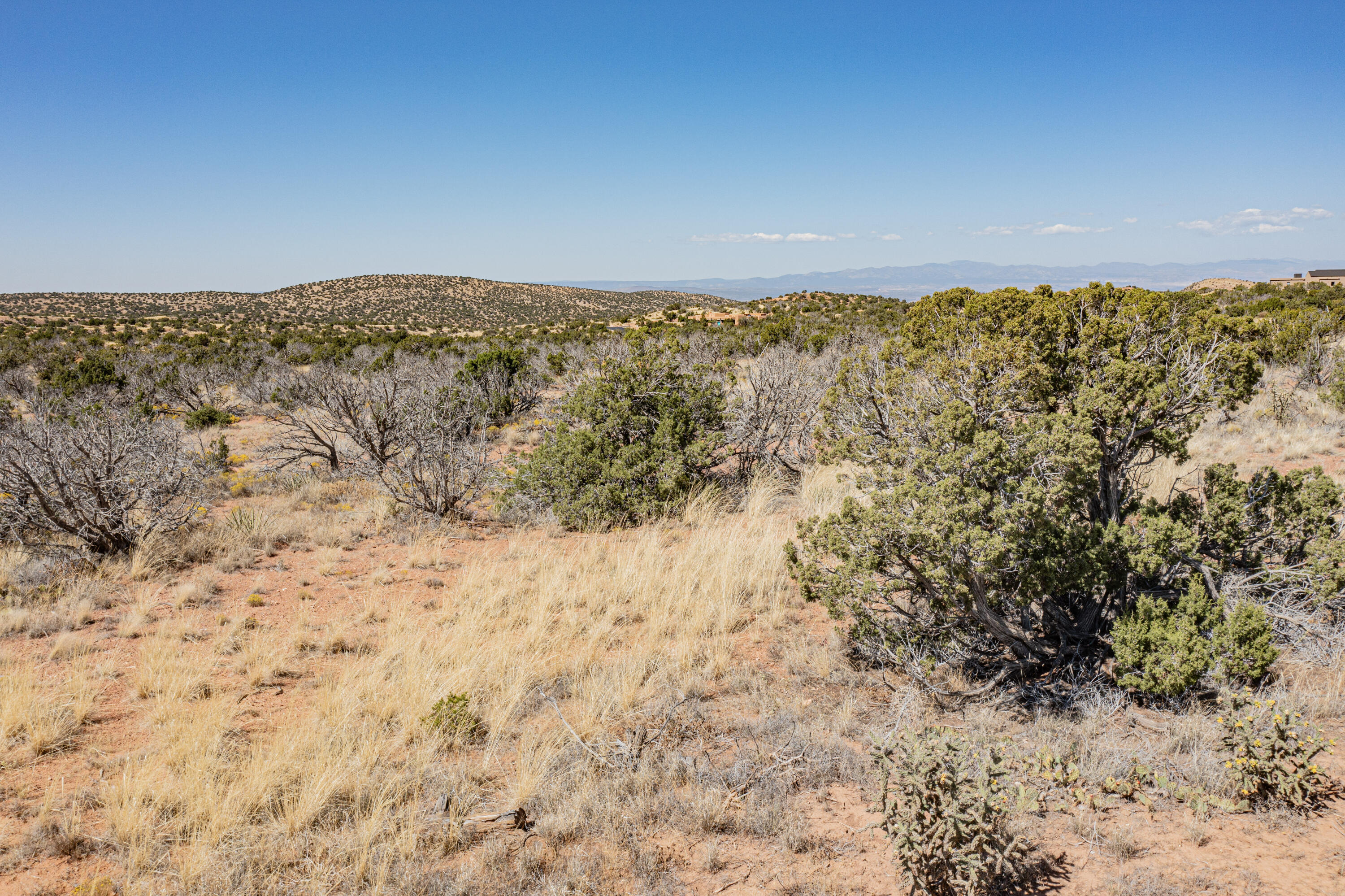 261 Diamond Tail Road, Placitas, New Mexico image 8