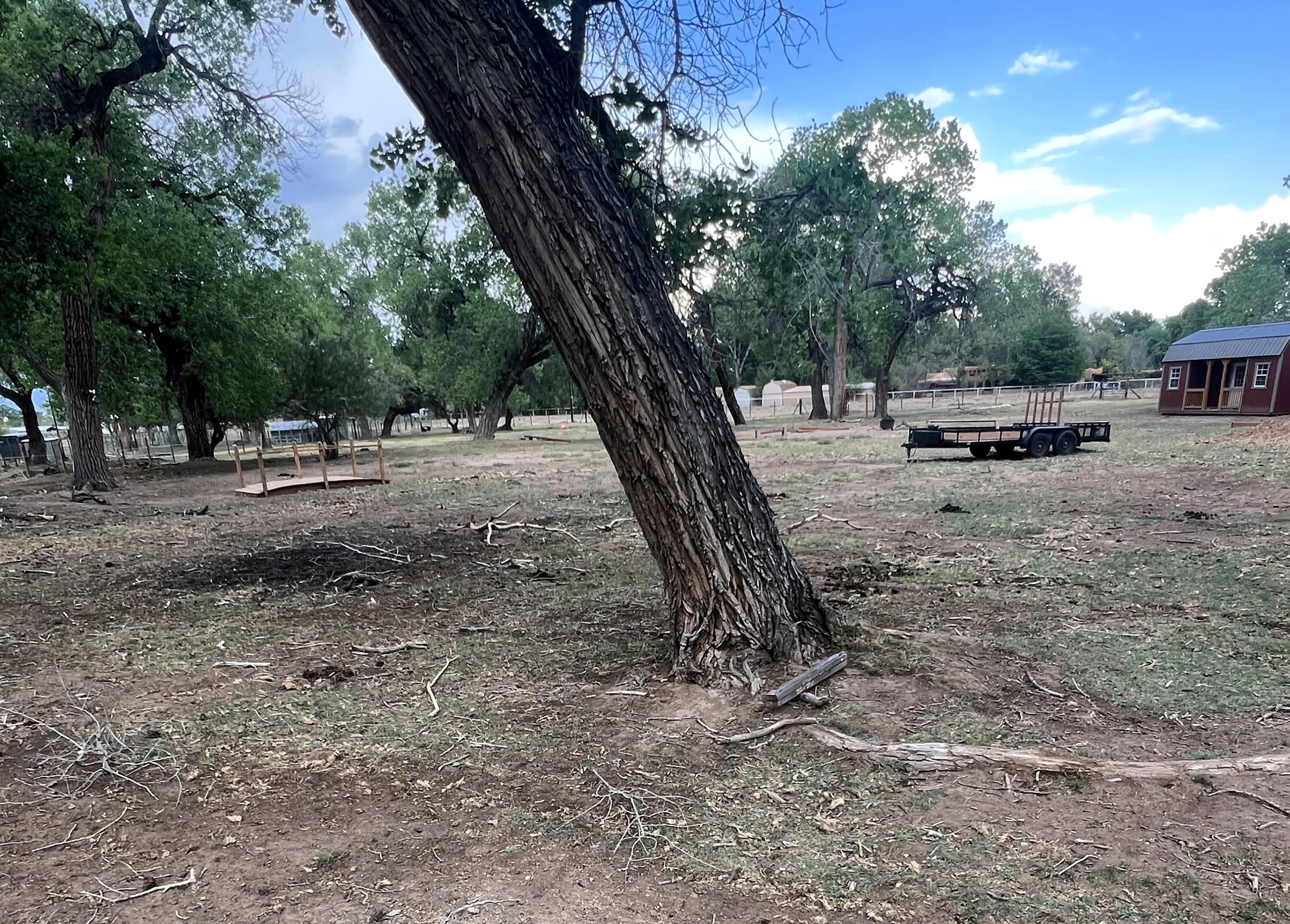 8 Wildwood Lane, Peralta, New Mexico image 2