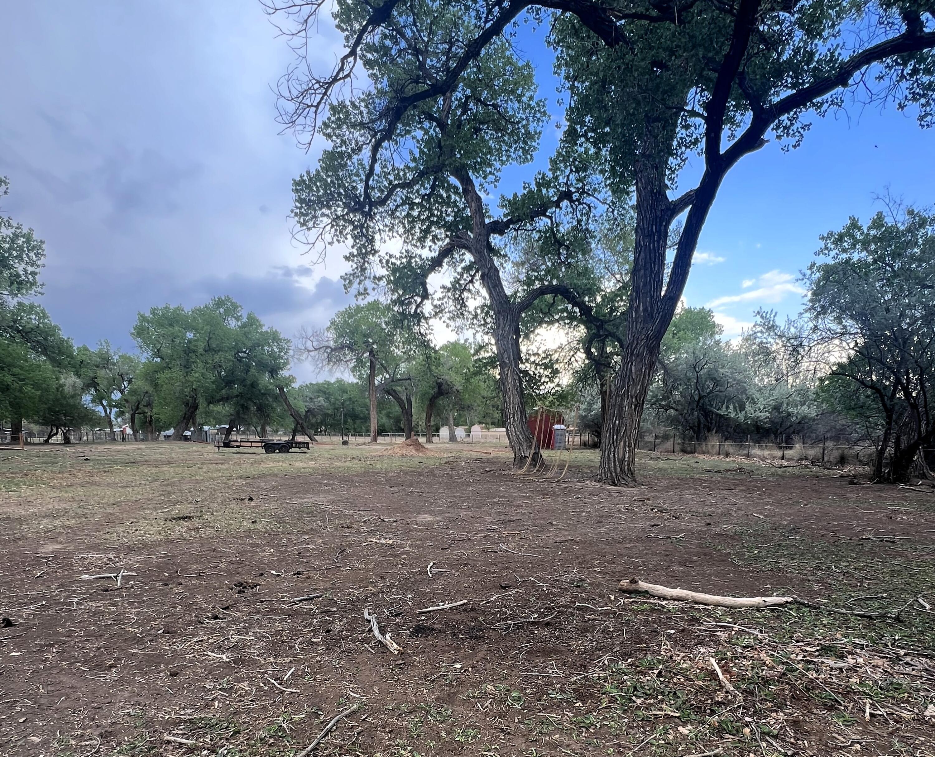 8 Wildwood Lane, Peralta, New Mexico image 1