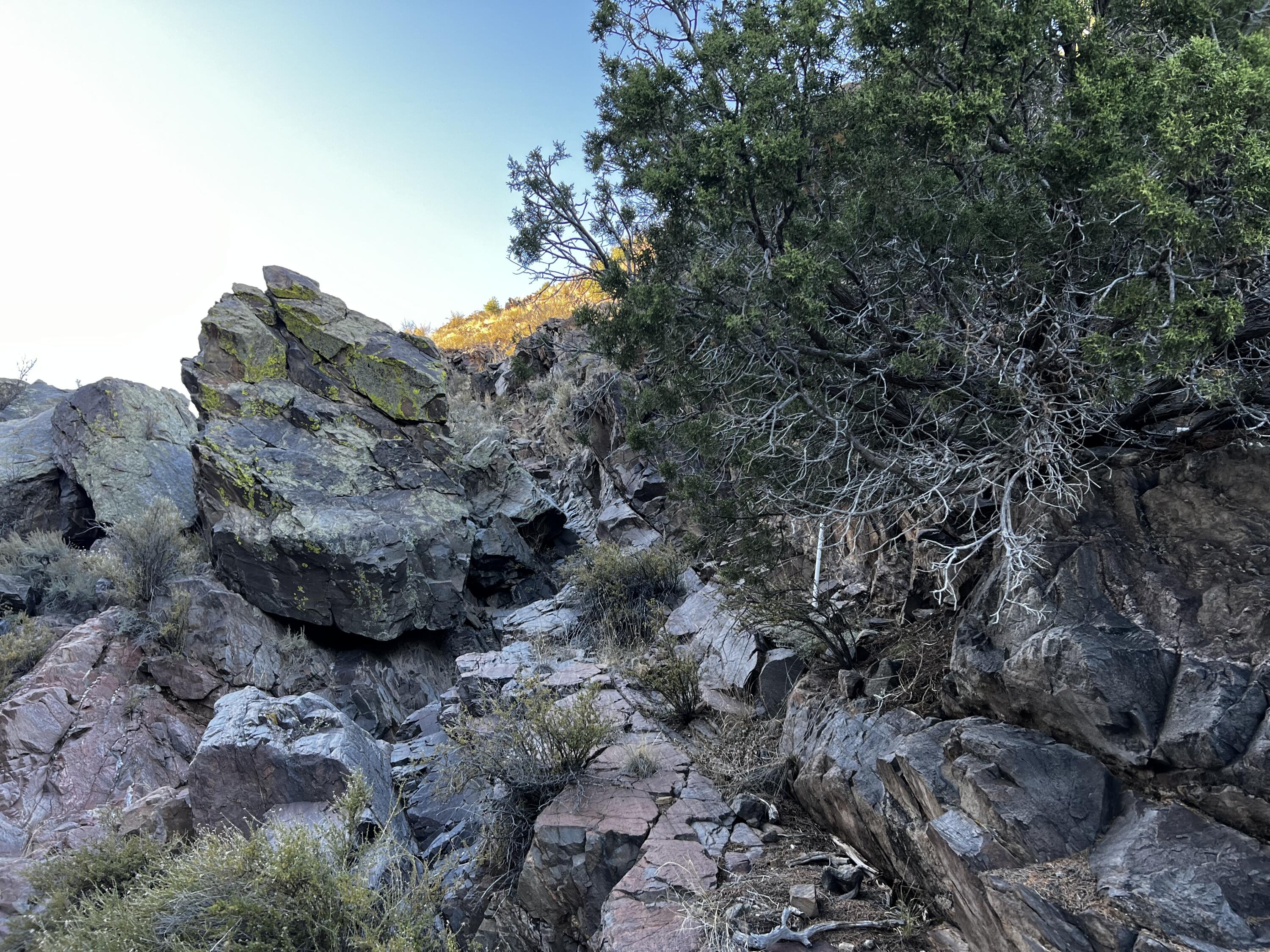 087 Hwy 111, Ojo Caliente, New Mexico image 4