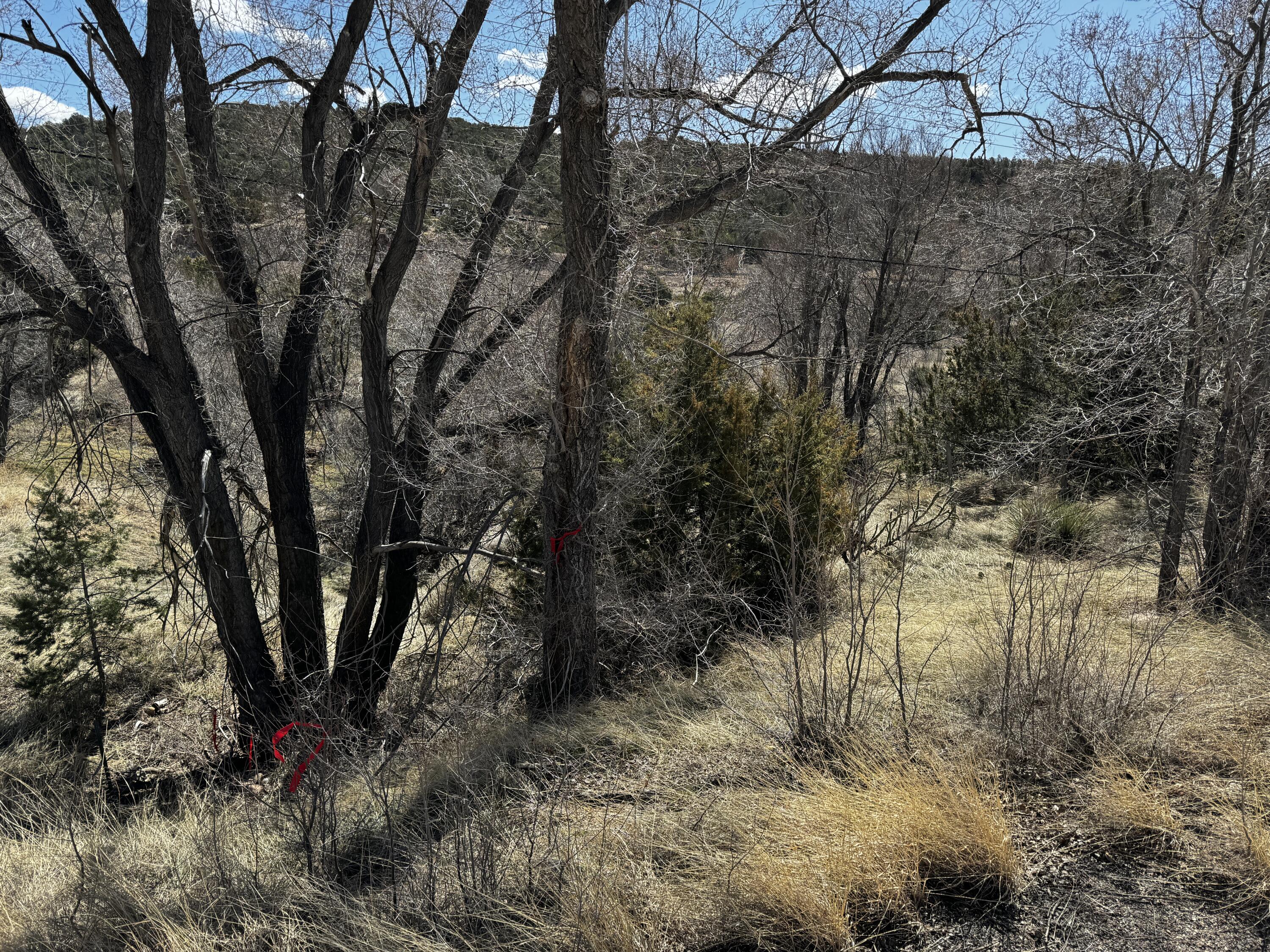Nm-333, Tijeras, New Mexico image 7