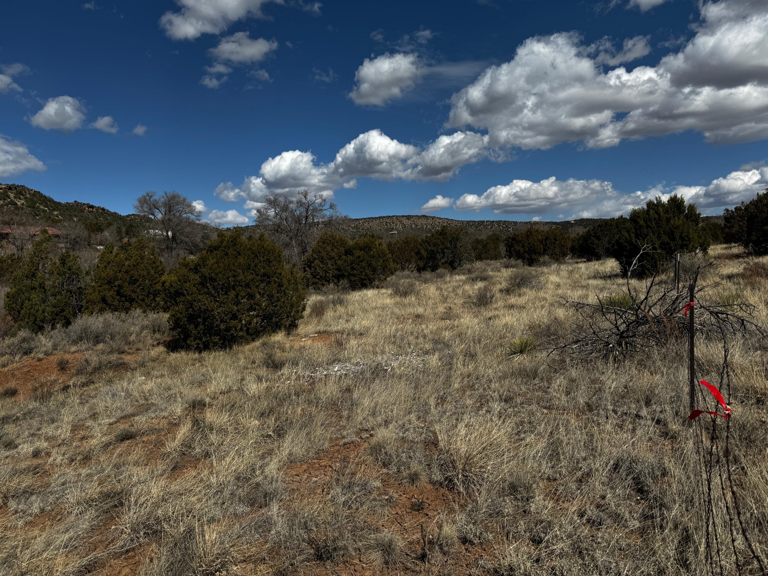 Nm-333, Tijeras, New Mexico image 10