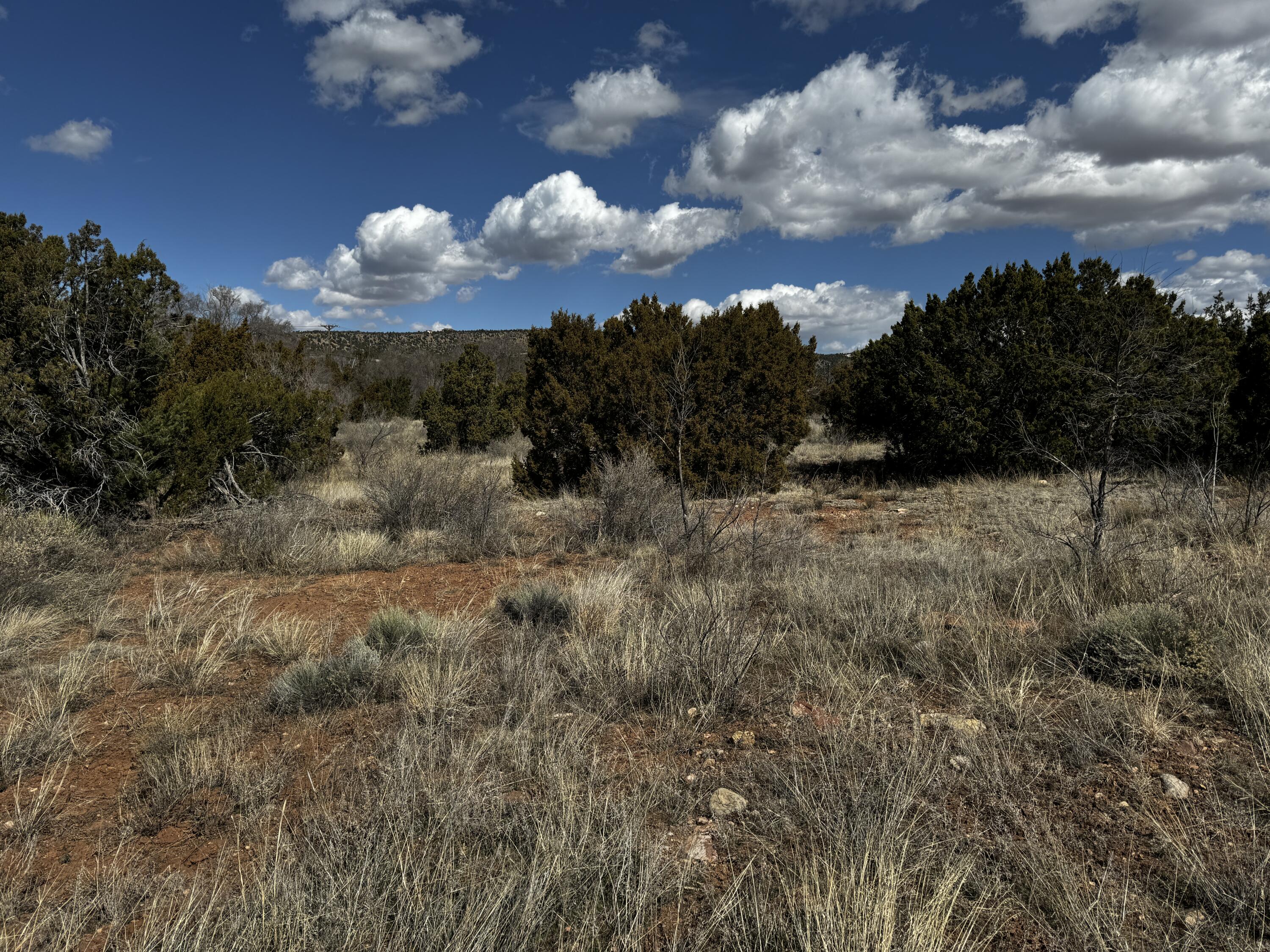 Nm-333, Tijeras, New Mexico image 11
