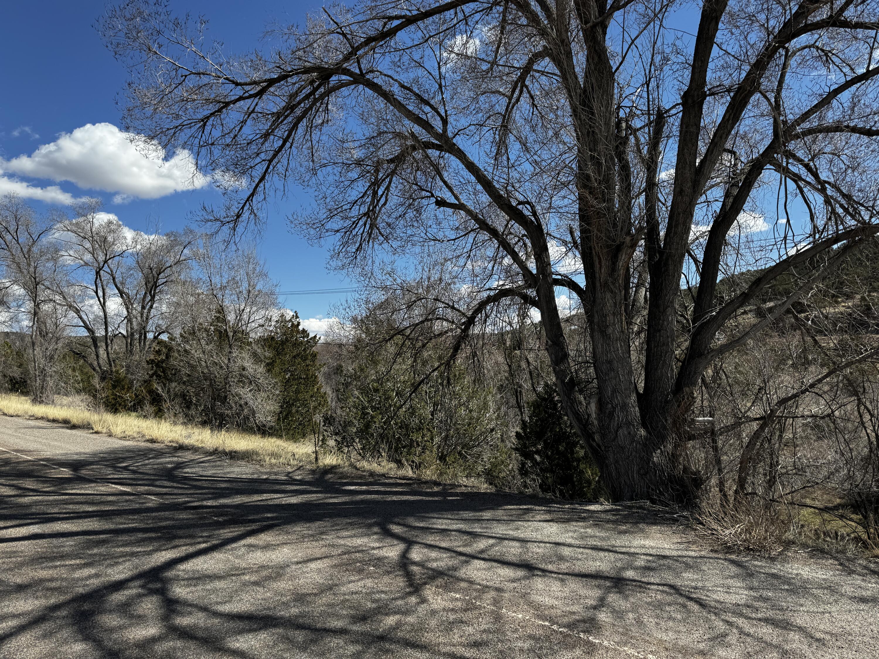 Nm-333, Tijeras, New Mexico image 5