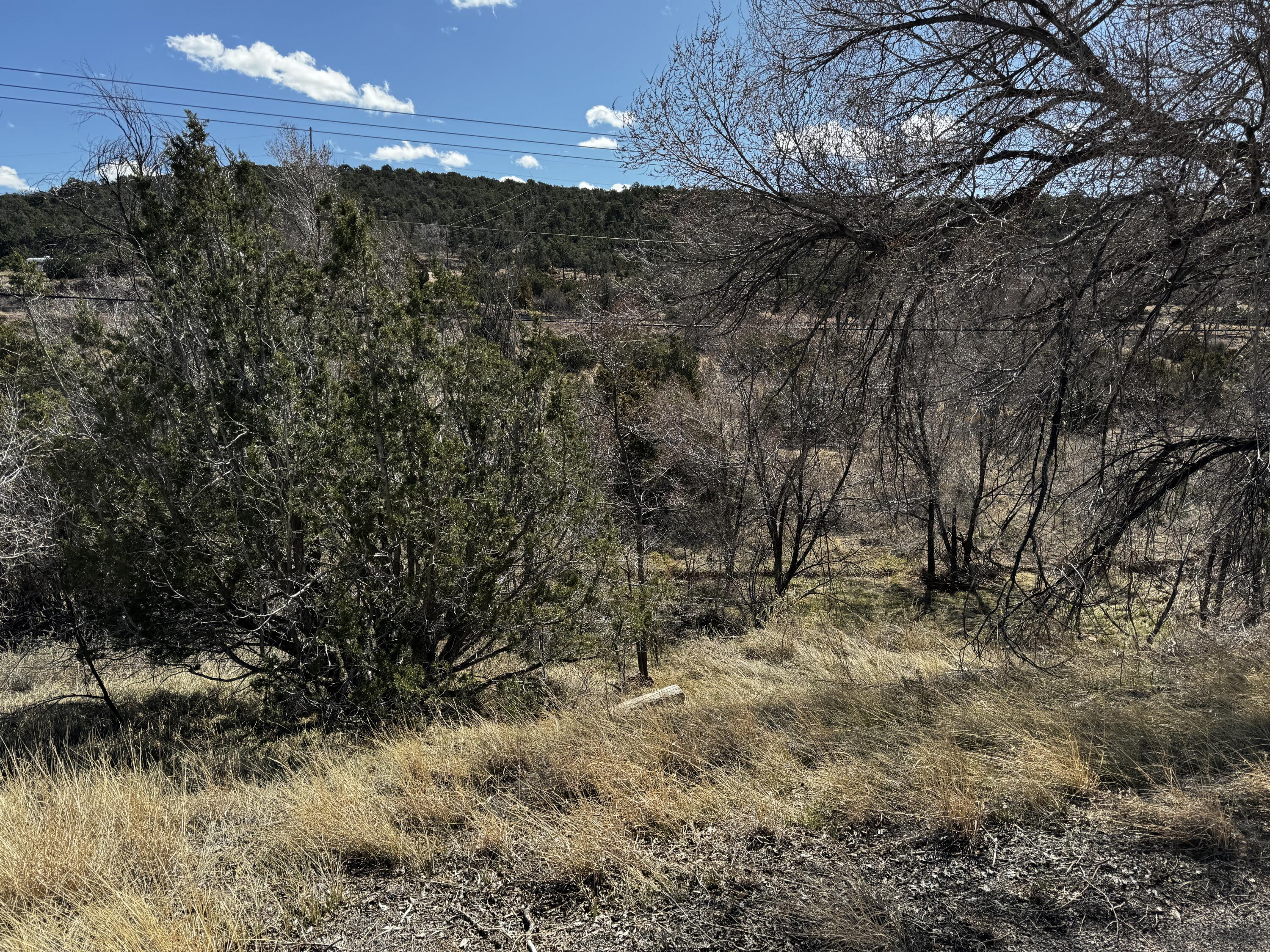 Nm-333, Tijeras, New Mexico image 6