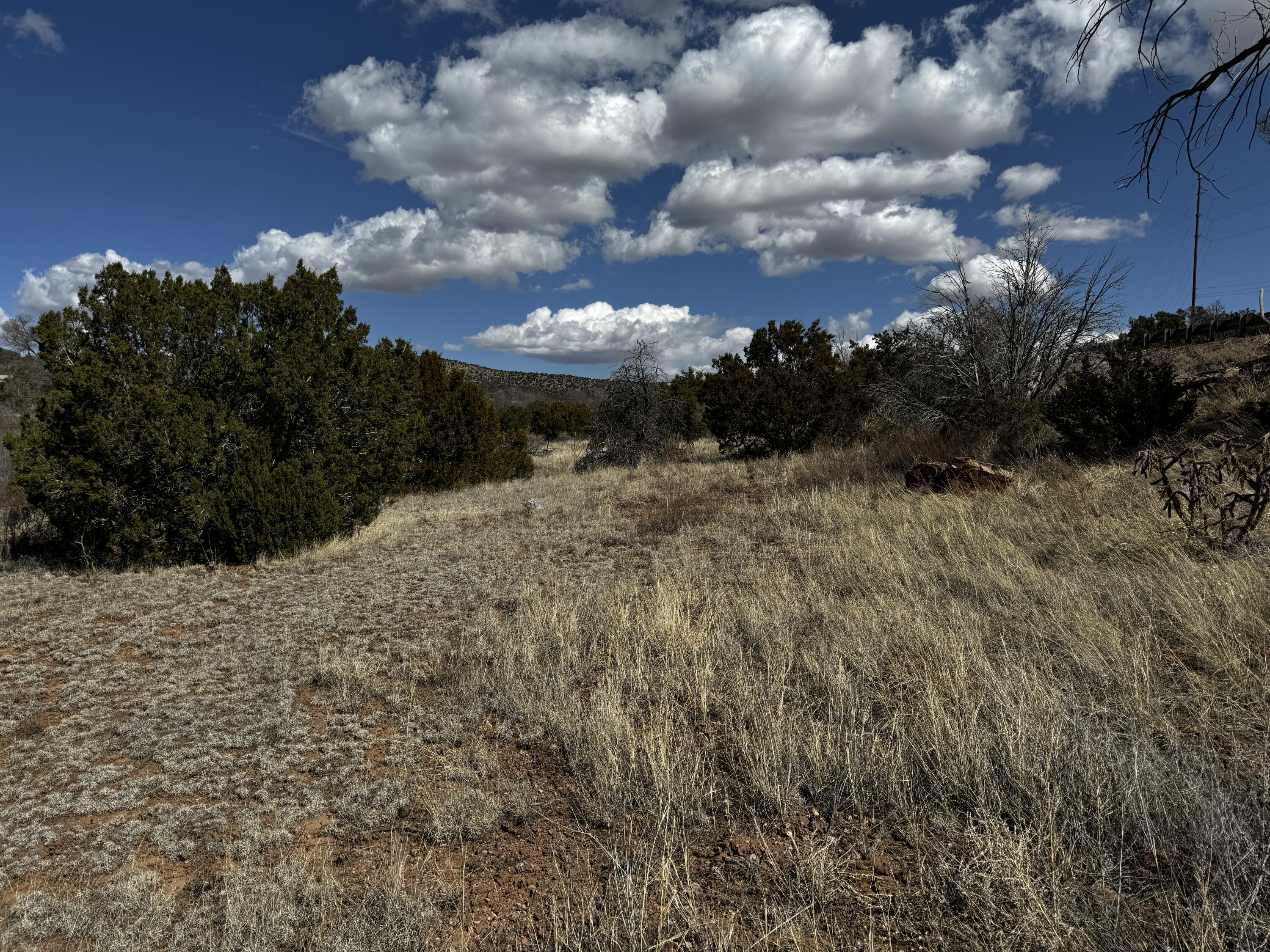 Nm-333, Tijeras, New Mexico image 2