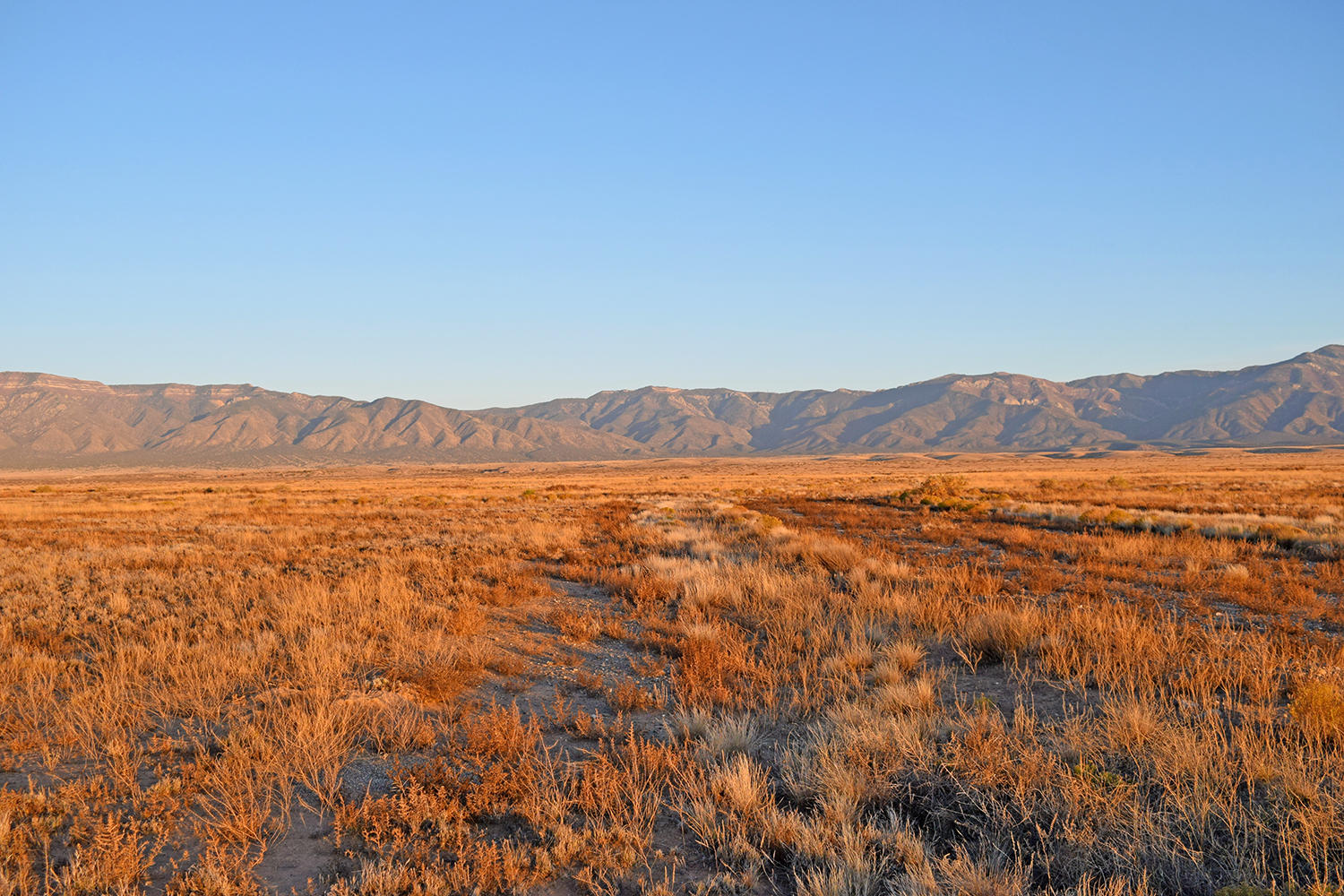 Photo 8 of 17 of Rio Del Oro Lot 1 Block 17 land