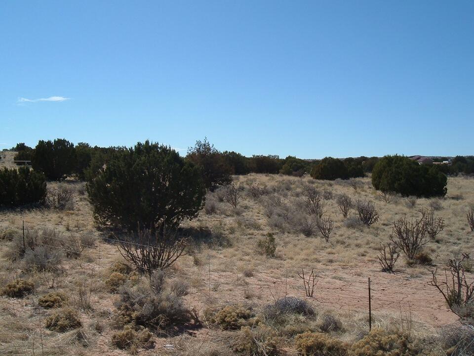 6021 Natalie (u25b21l13) Road, Rio Rancho, New Mexico image 3