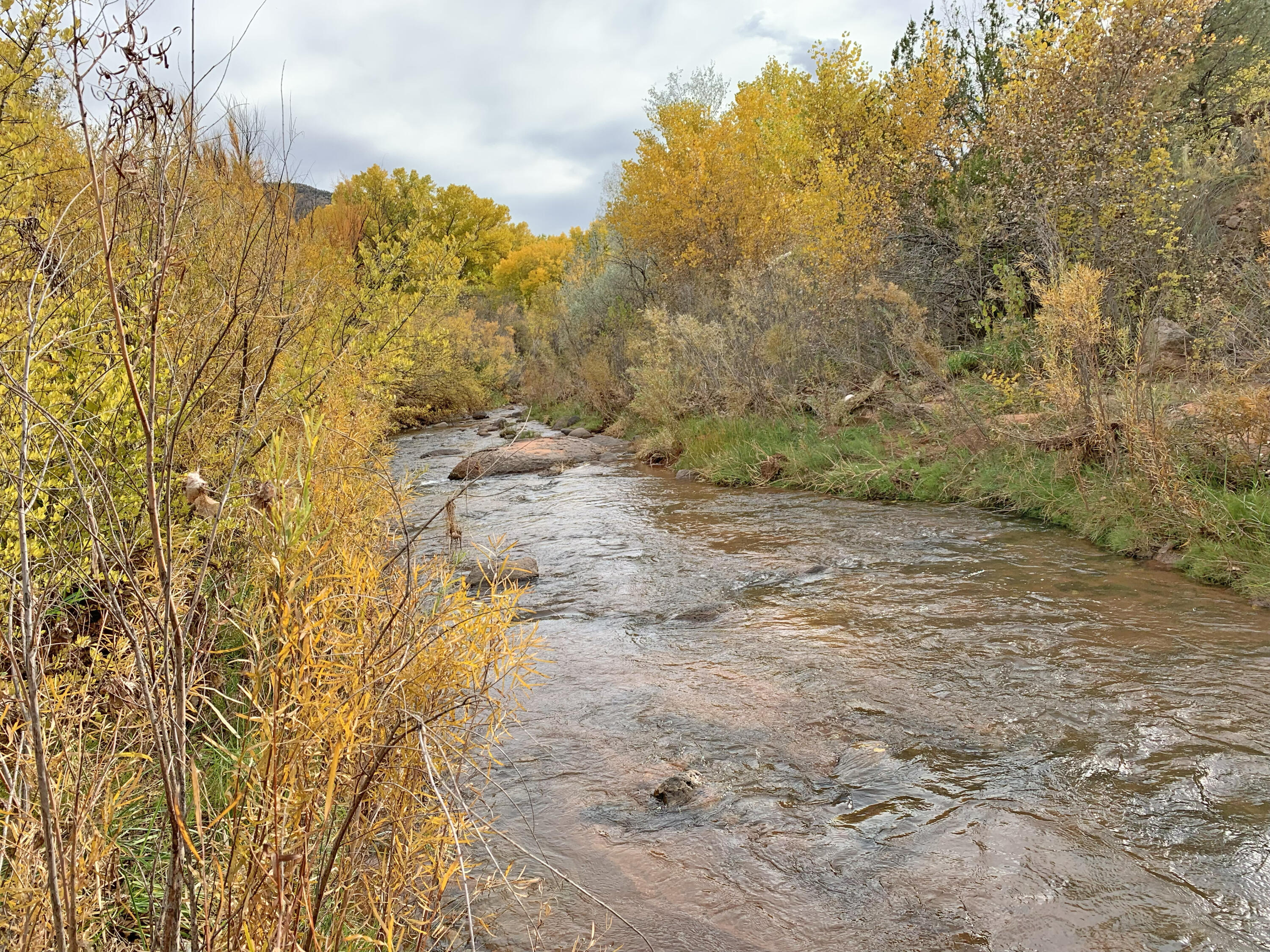 Riverfront-highway 4, Jemez Springs, New Mexico image 4