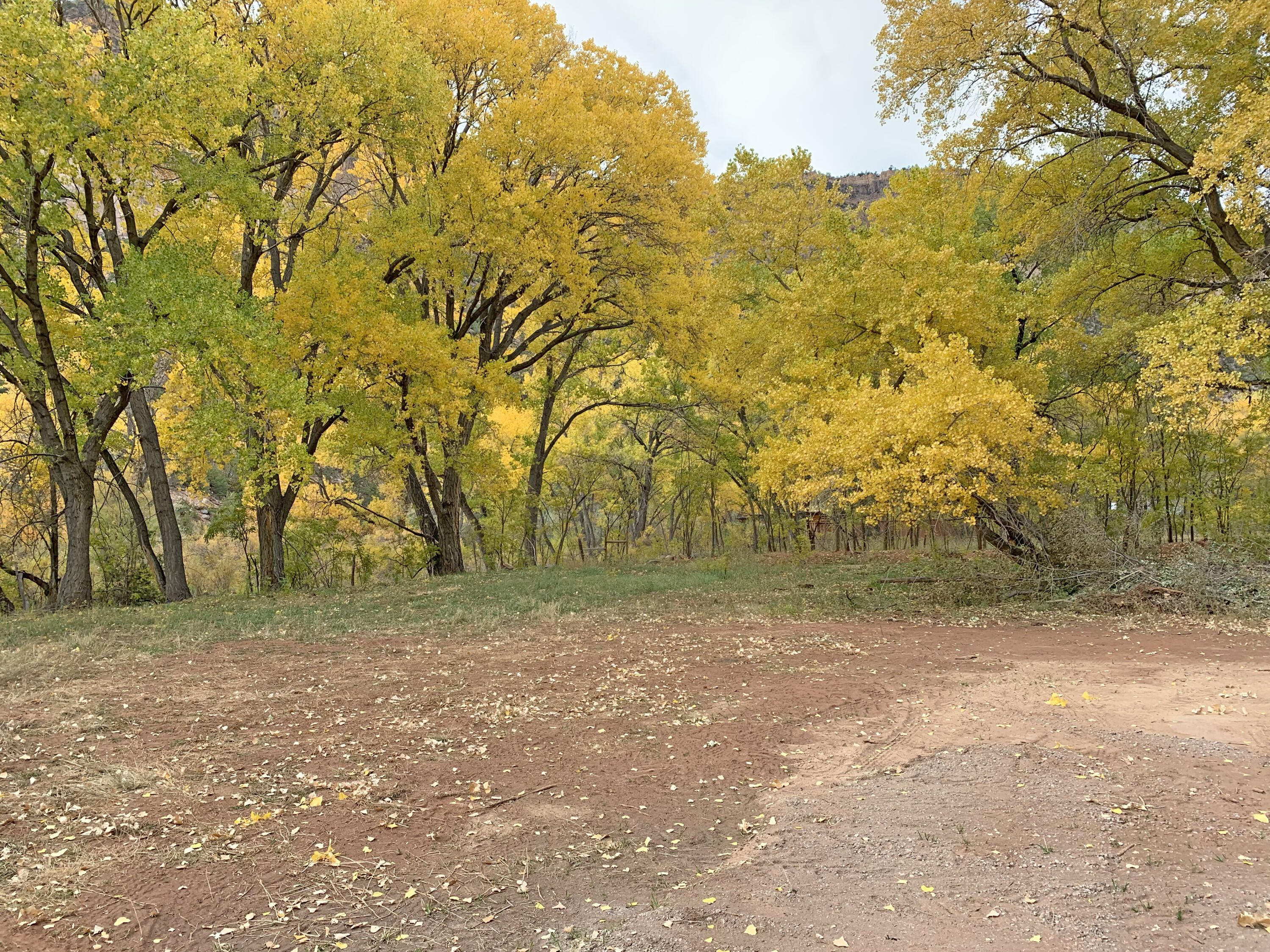 Riverfront-highway 4, Jemez Springs, New Mexico image 9