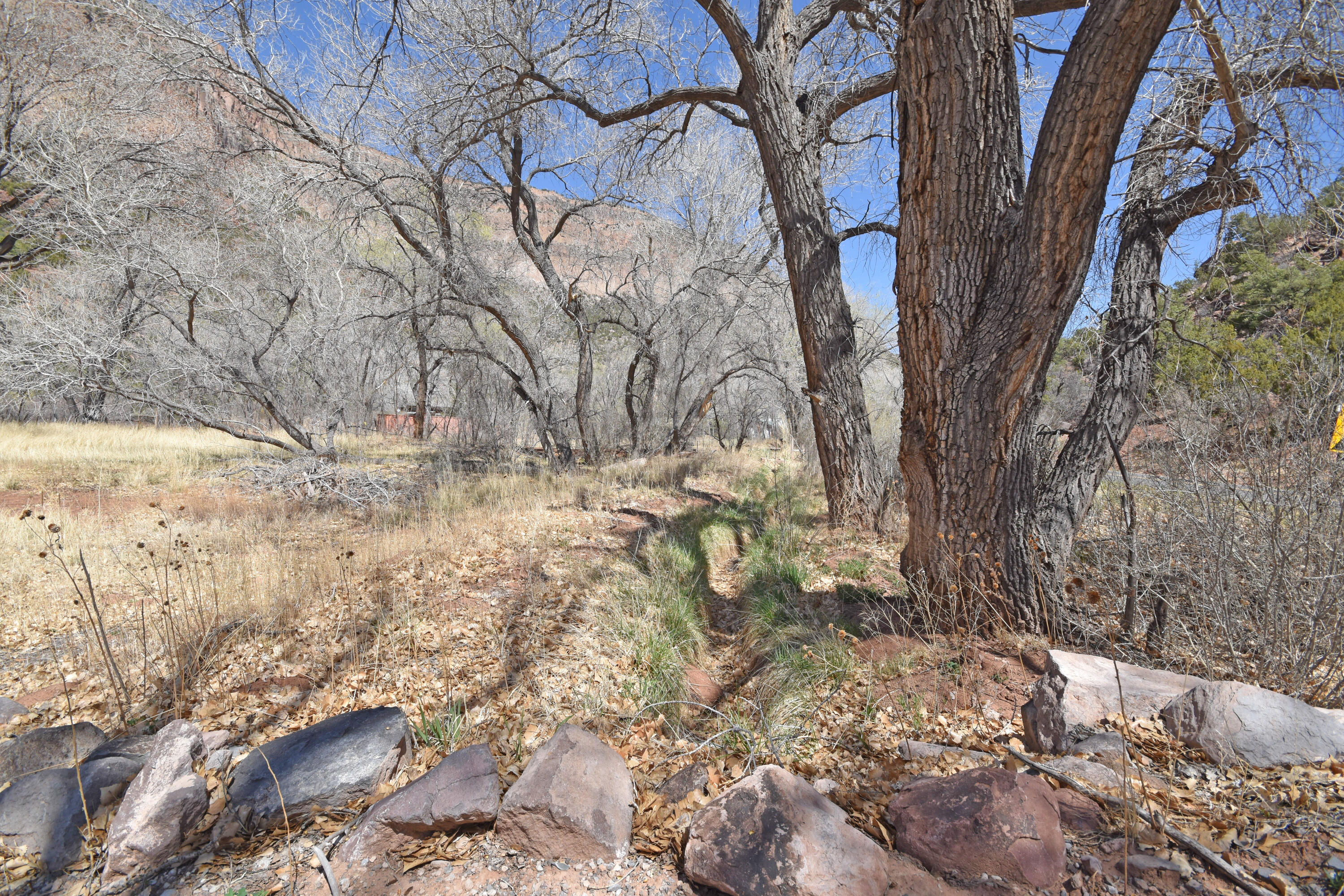 Riverfront-highway 4, Jemez Springs, New Mexico image 8
