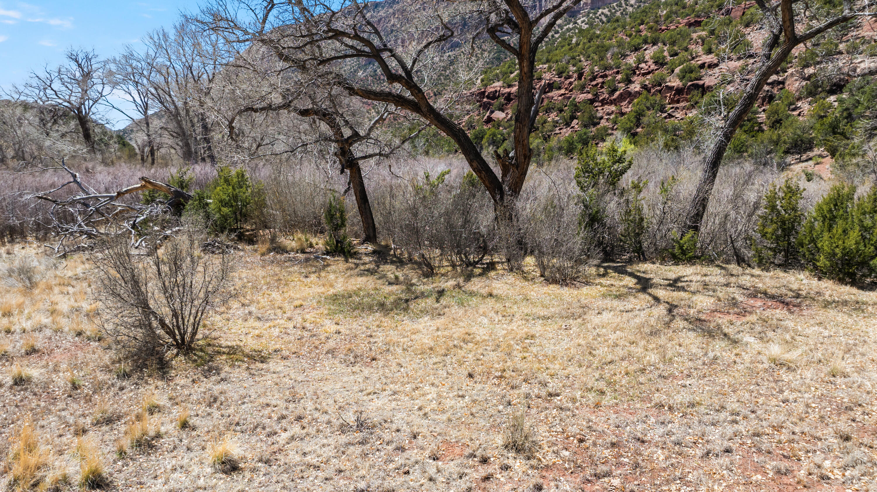 Riverfront-highway 4, Jemez Springs, New Mexico image 26