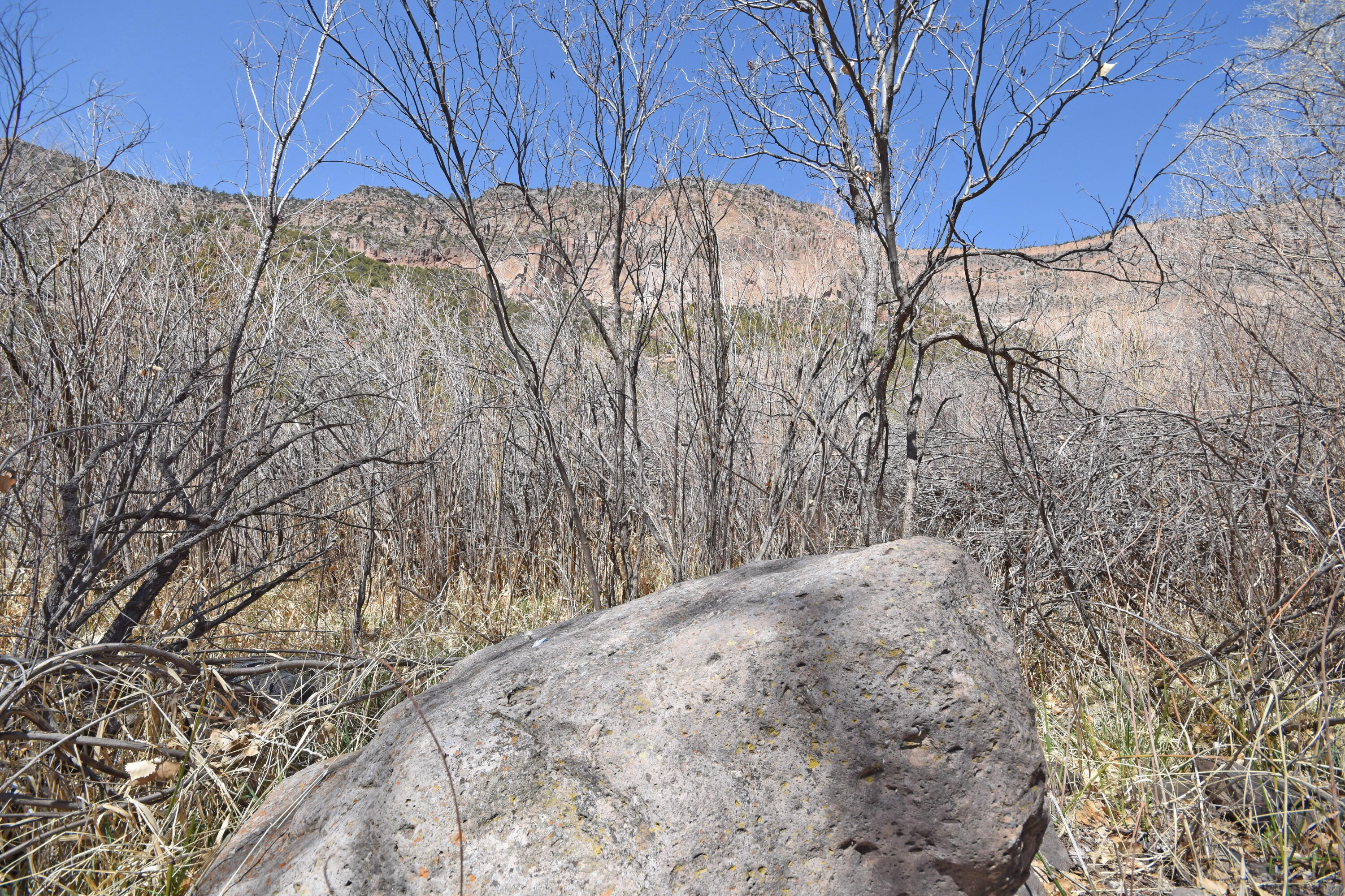 Riverfront-highway 4, Jemez Springs, New Mexico image 31