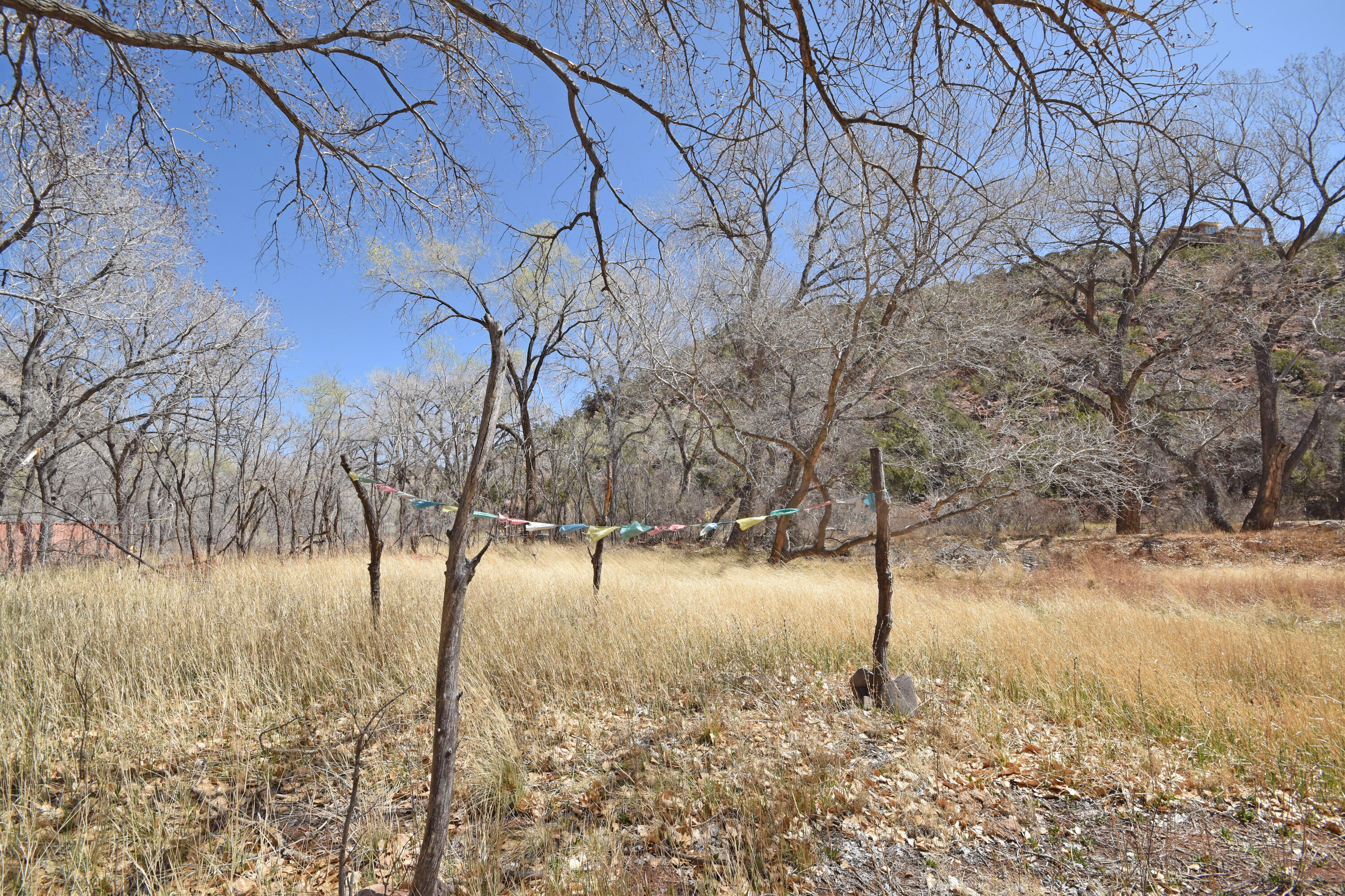 Riverfront-highway 4, Jemez Springs, New Mexico image 28