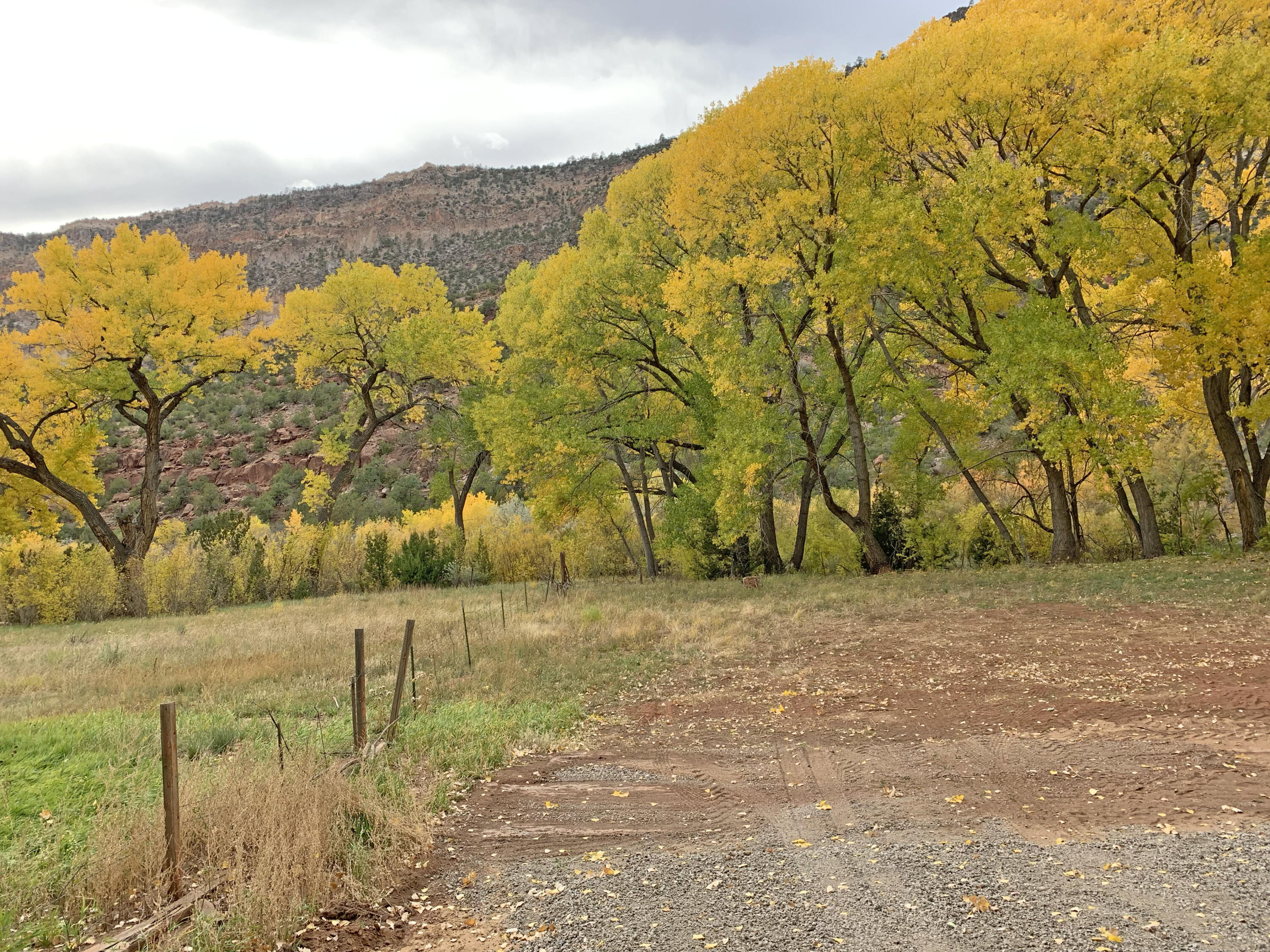 Riverfront-highway 4, Jemez Springs, New Mexico image 15