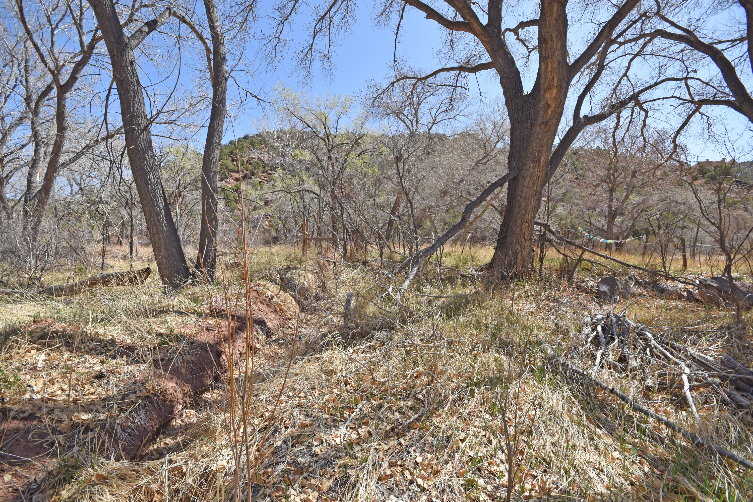 Riverfront-highway 4, Jemez Springs, New Mexico image 18