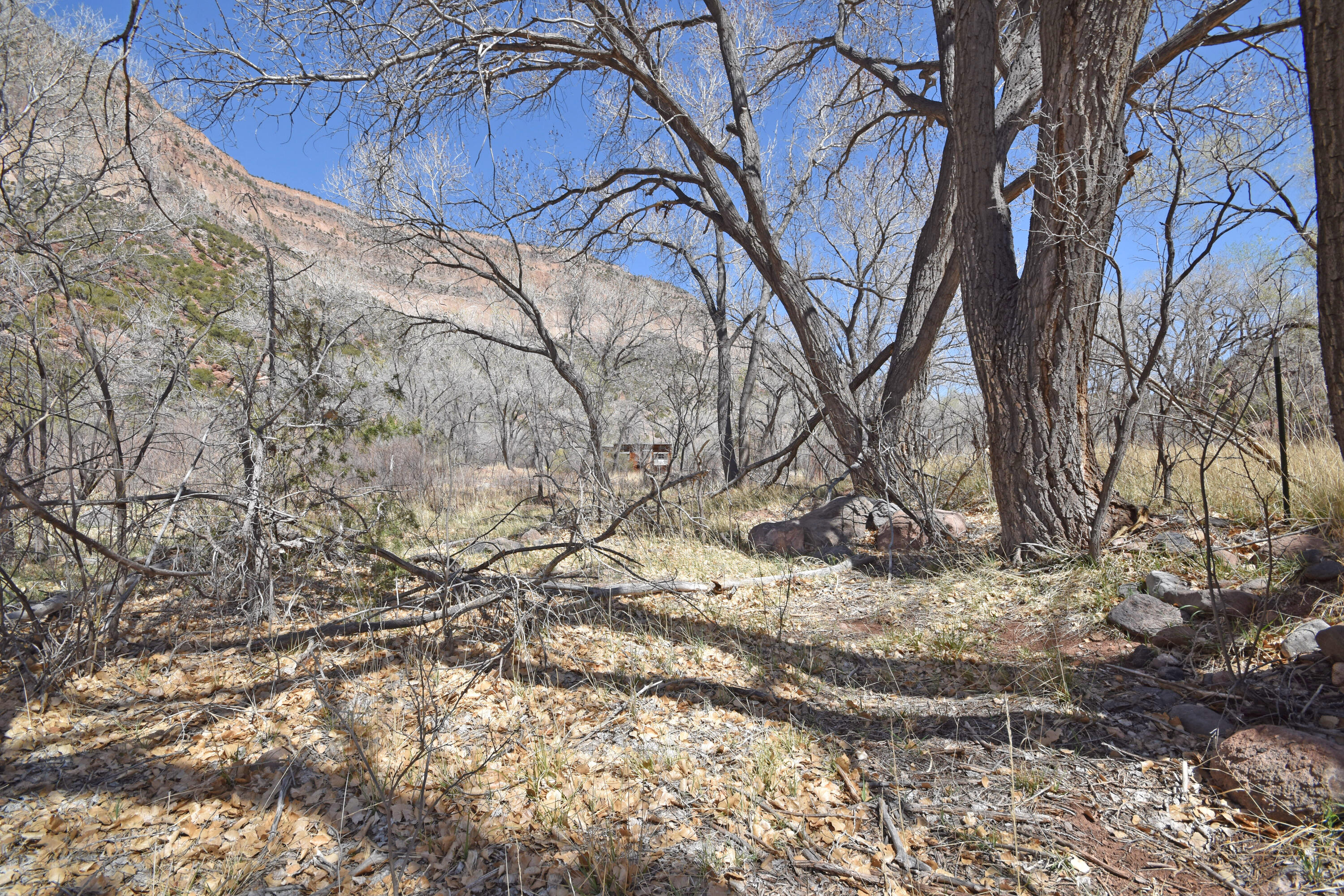 Riverfront-highway 4, Jemez Springs, New Mexico image 34