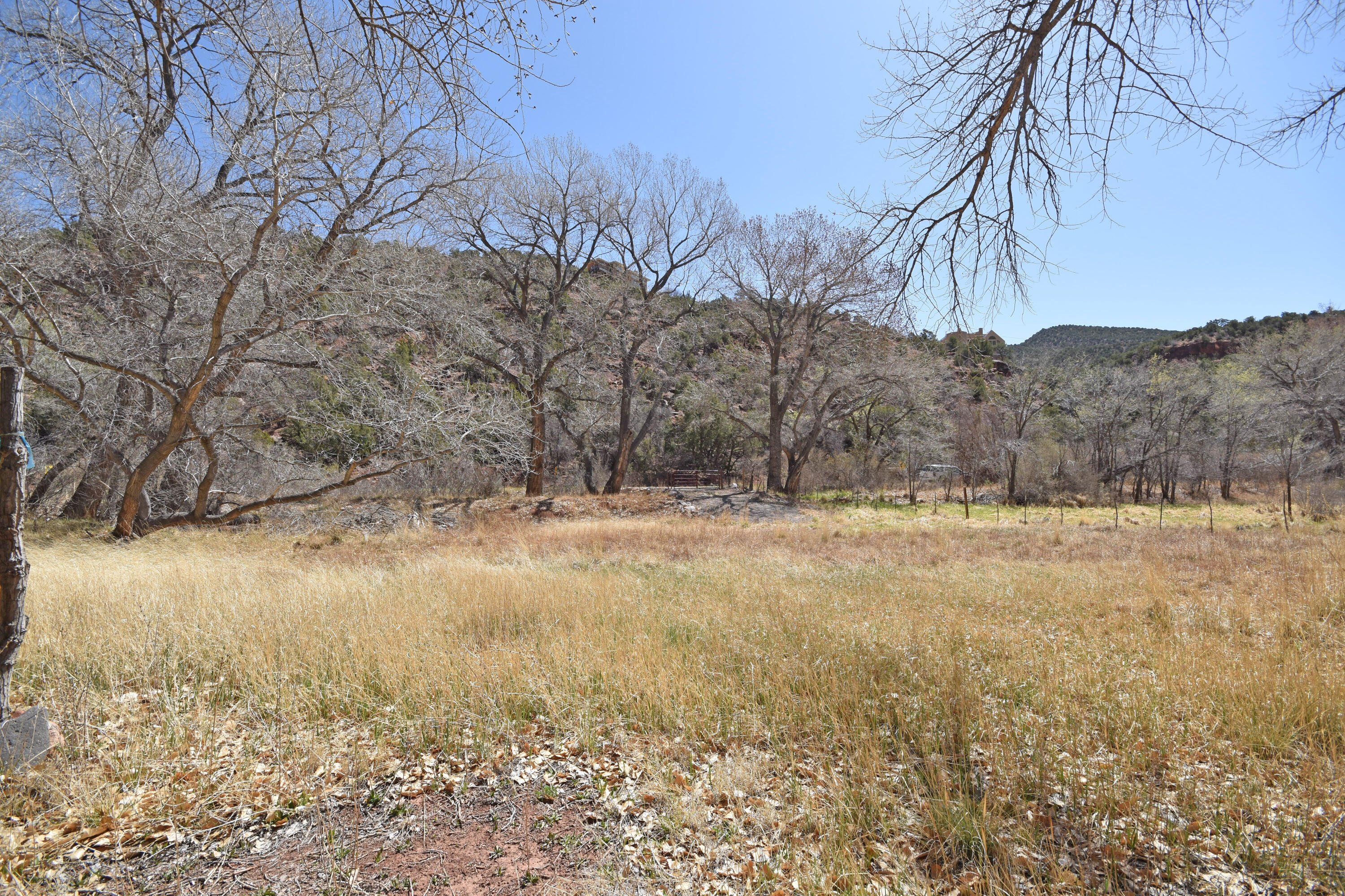 Riverfront-highway 4, Jemez Springs, New Mexico image 2
