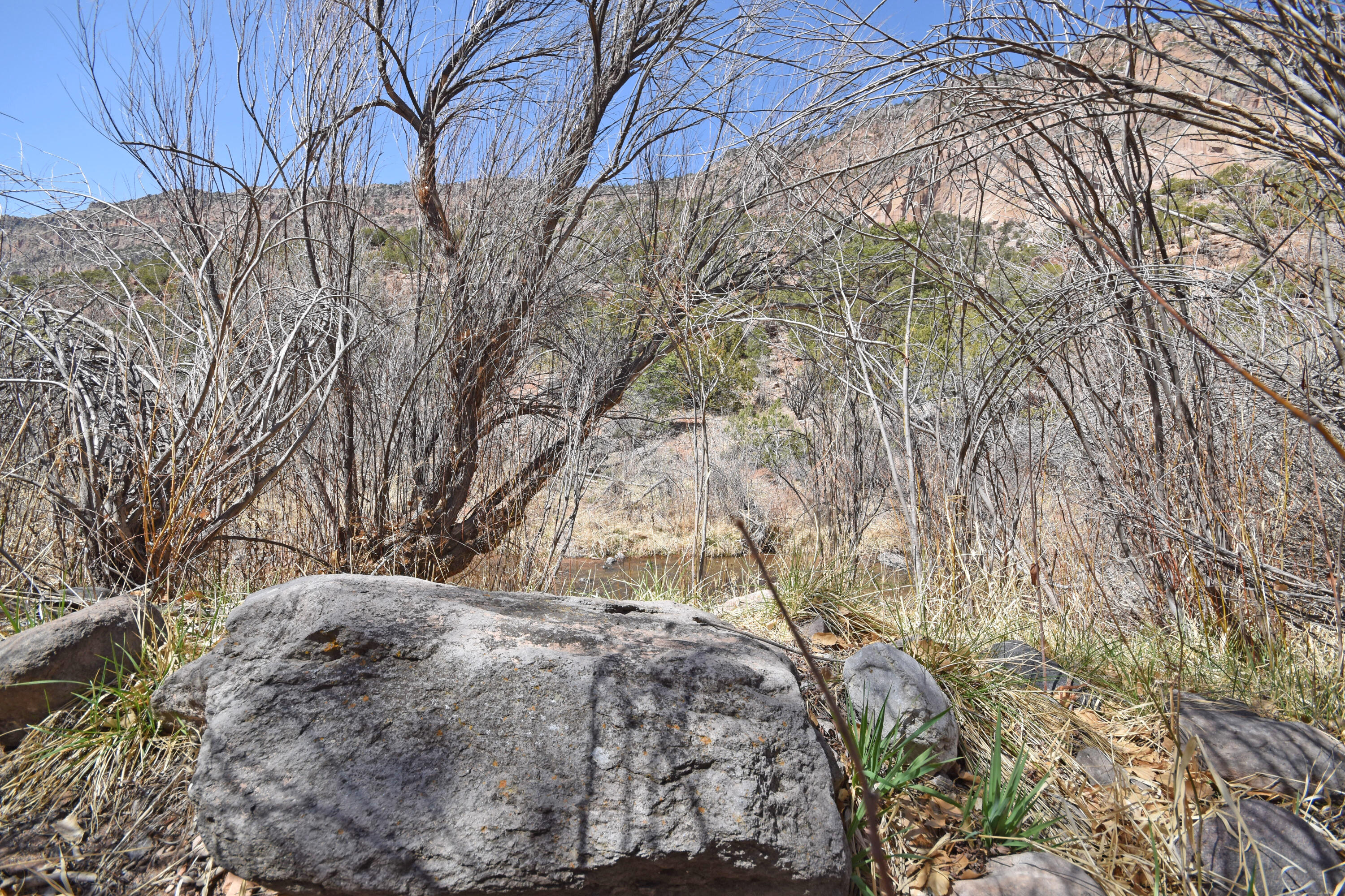 Riverfront-highway 4, Jemez Springs, New Mexico image 32