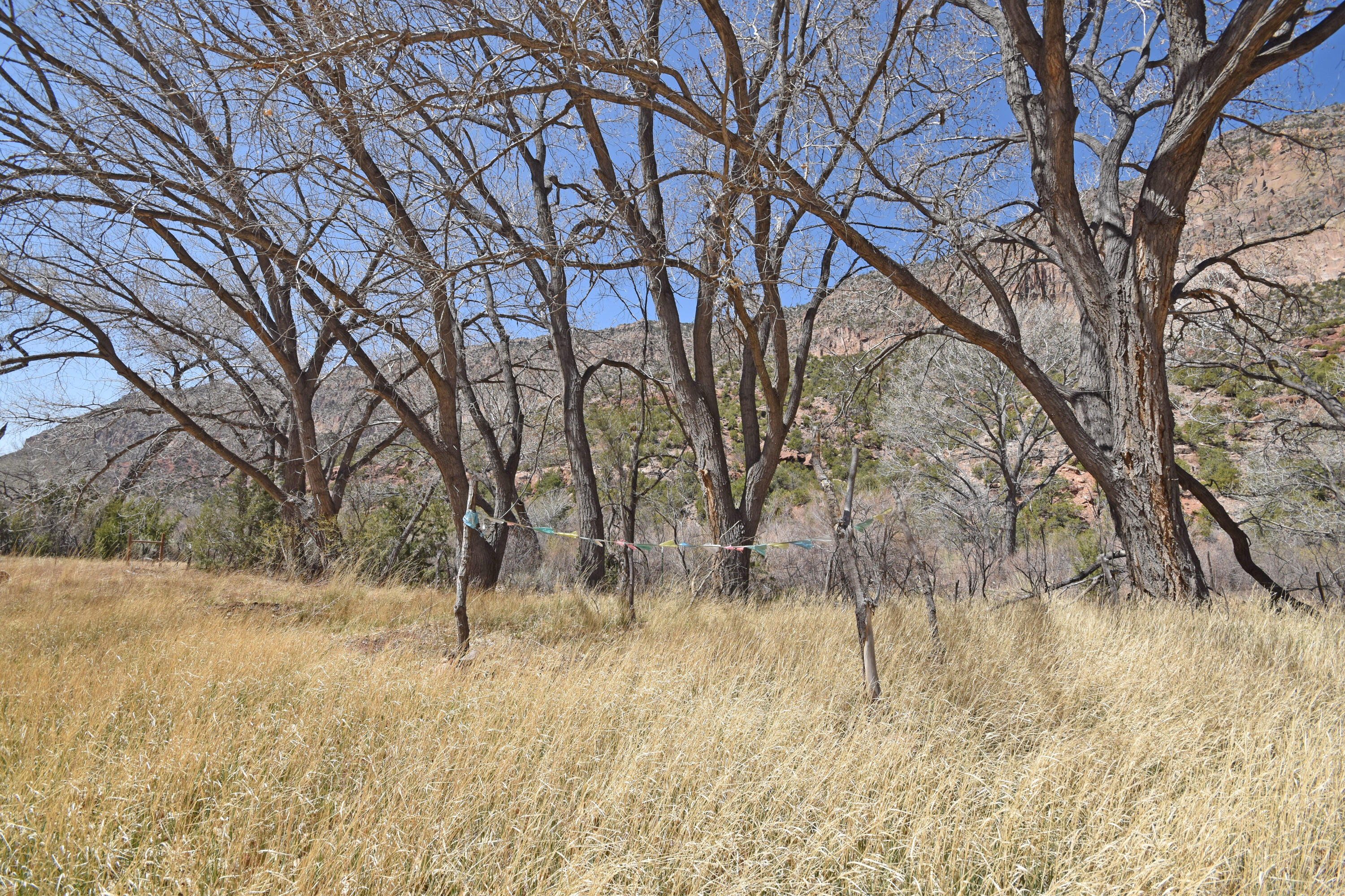 Riverfront-highway 4, Jemez Springs, New Mexico image 3