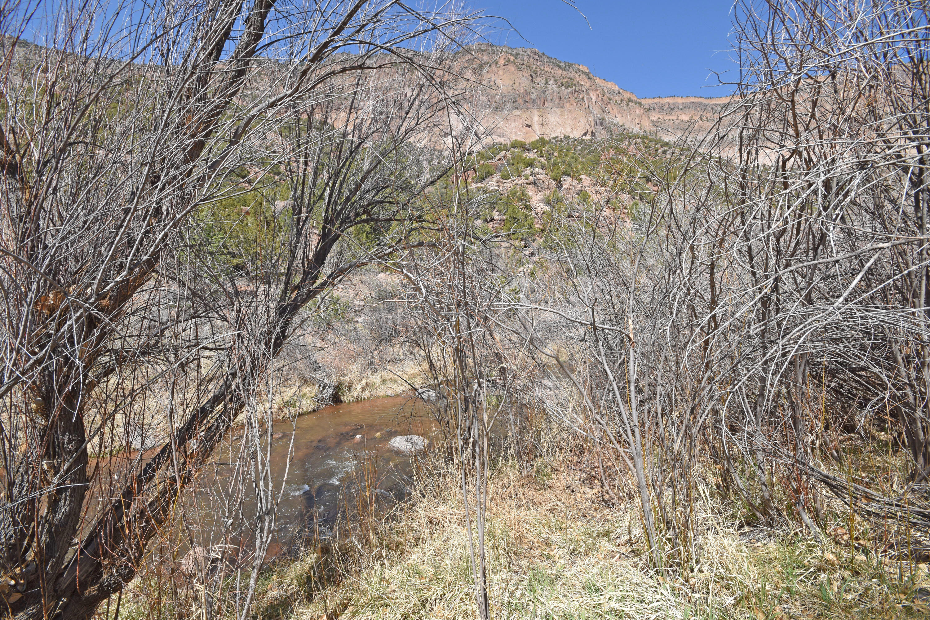 Riverfront-highway 4, Jemez Springs, New Mexico image 27