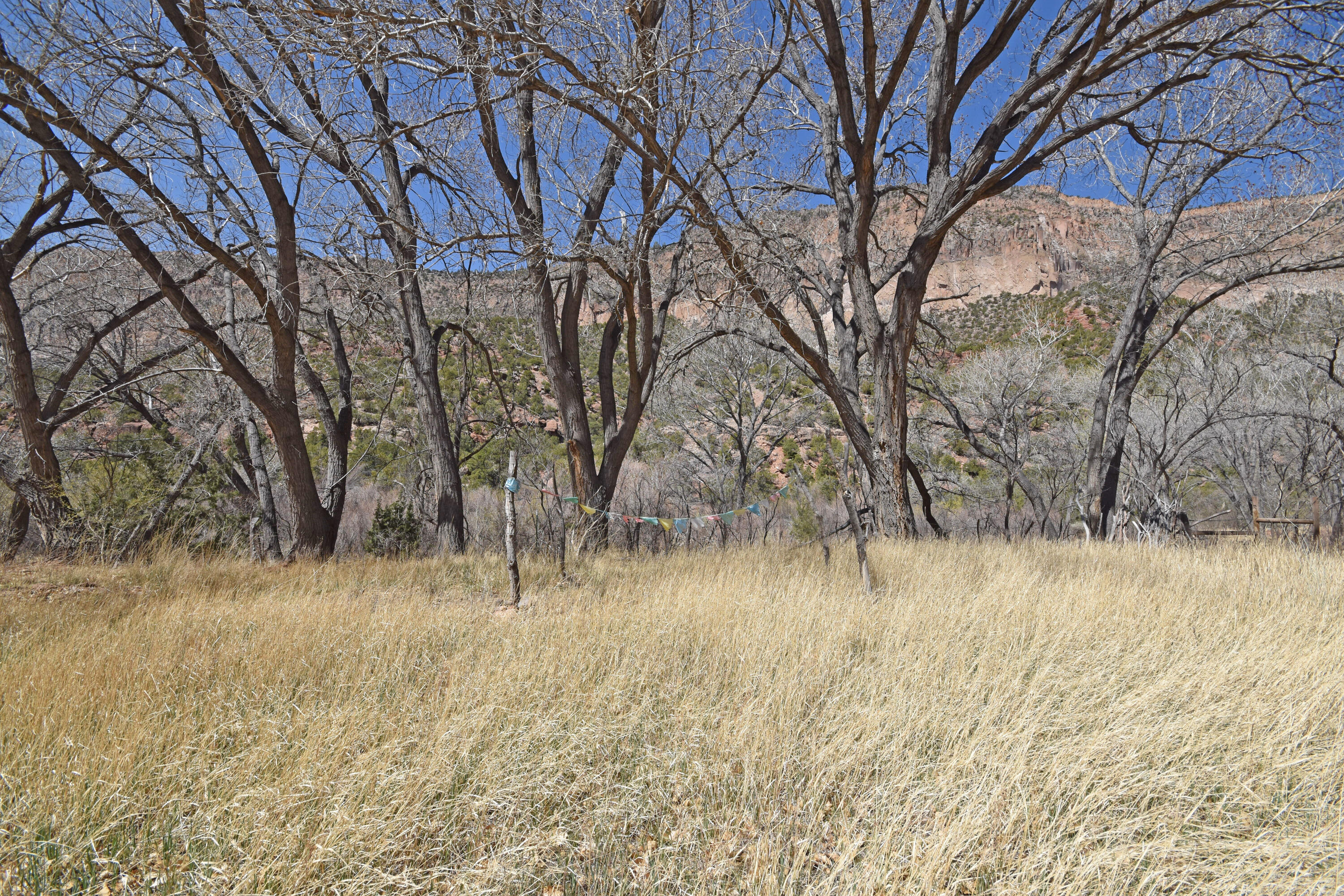 Riverfront-highway 4, Jemez Springs, New Mexico image 5