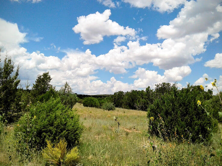 110 Jesse James Road, Edgewood, New Mexico image 1