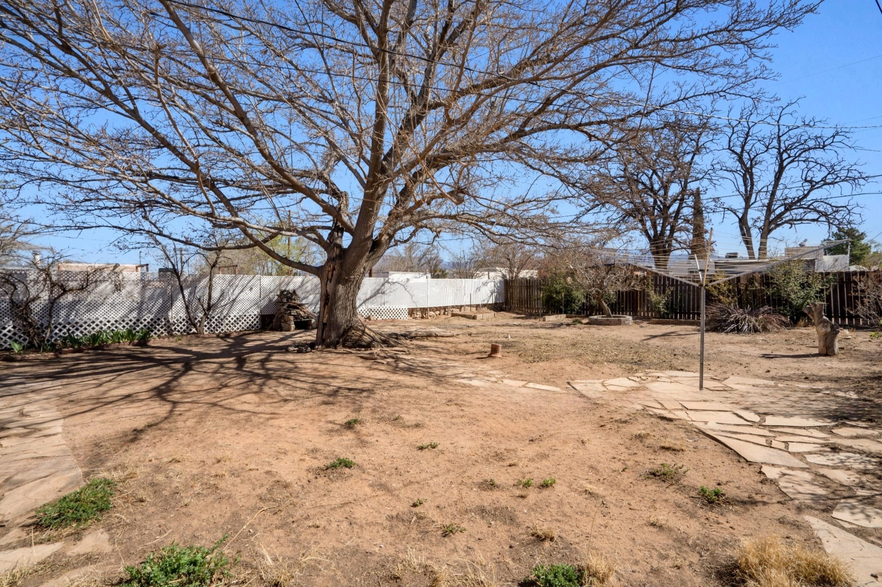 808 Alvarado Drive, Albuquerque, New Mexico image 29