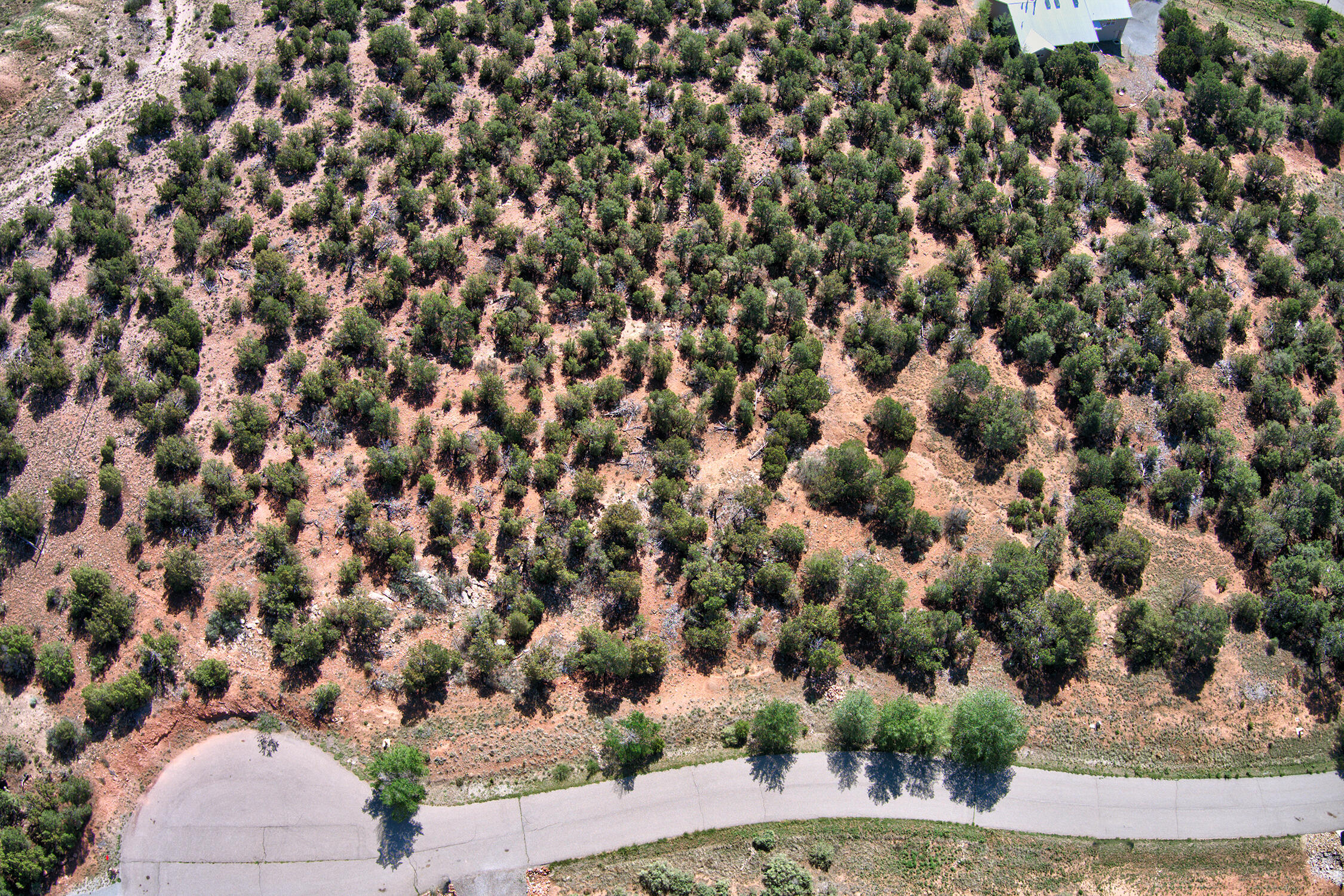 22 Conquest Court, Sandia Park, New Mexico image 13