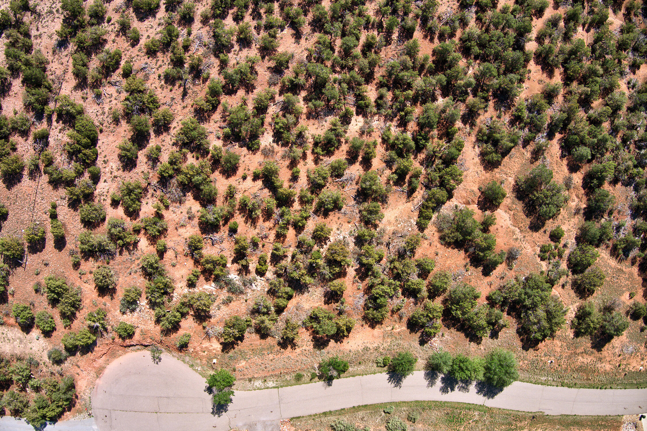 22 Conquest Court, Sandia Park, New Mexico image 7