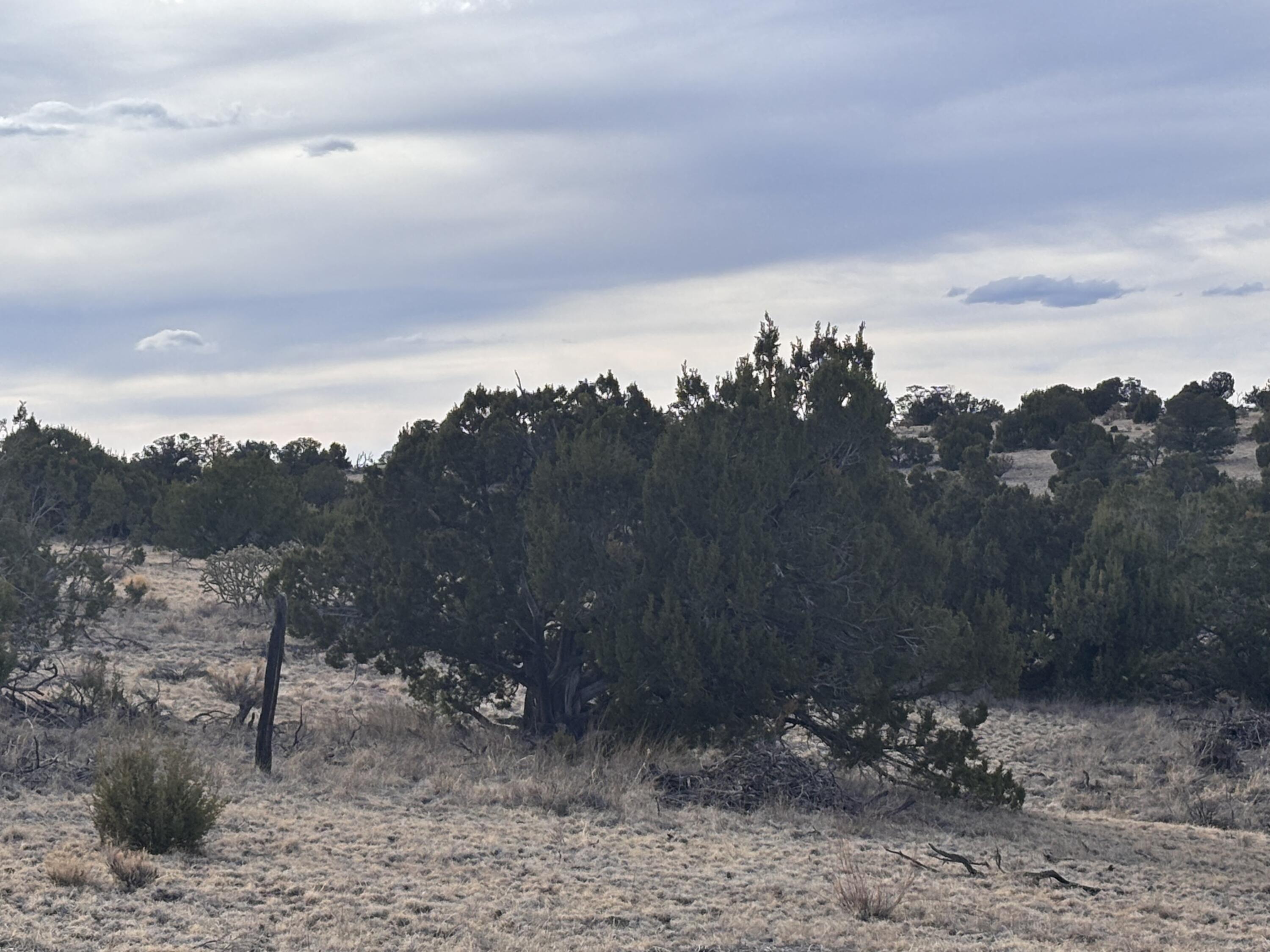 1451 Bridger Road, Rio Rancho, New Mexico image 3
