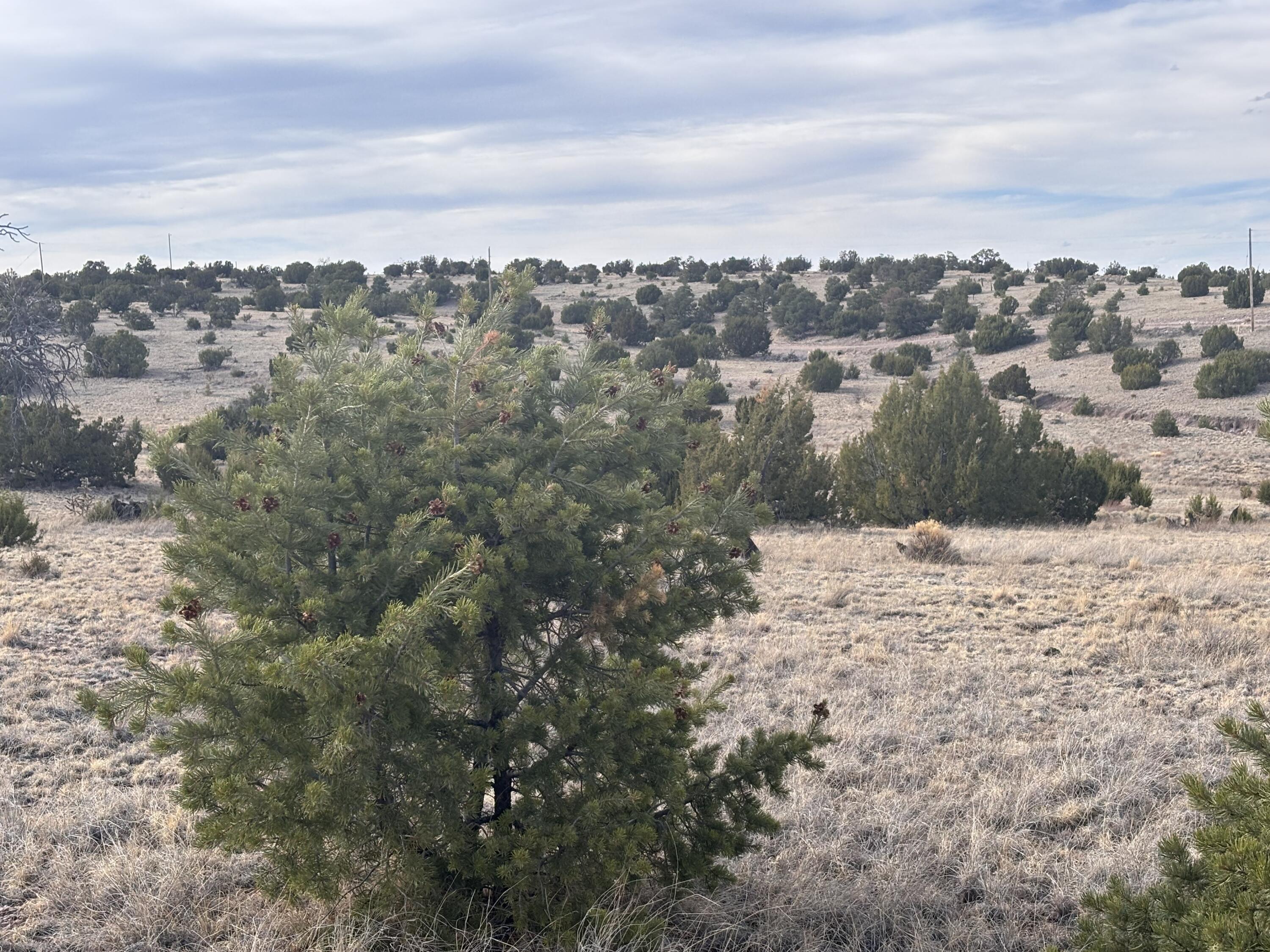 1451 Bridger Road, Rio Rancho, New Mexico image 7