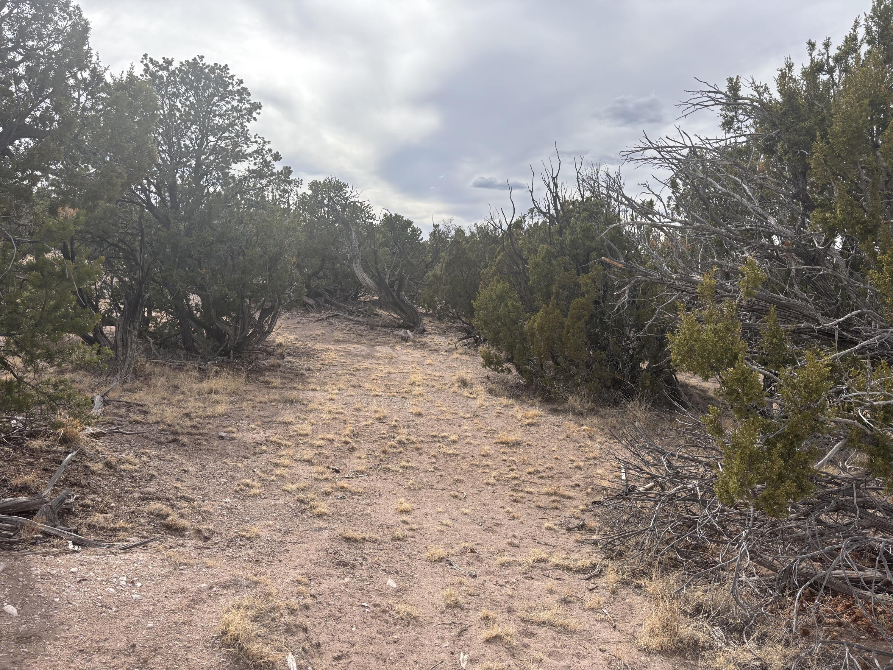 1451 Bridger Road, Rio Rancho, New Mexico image 6