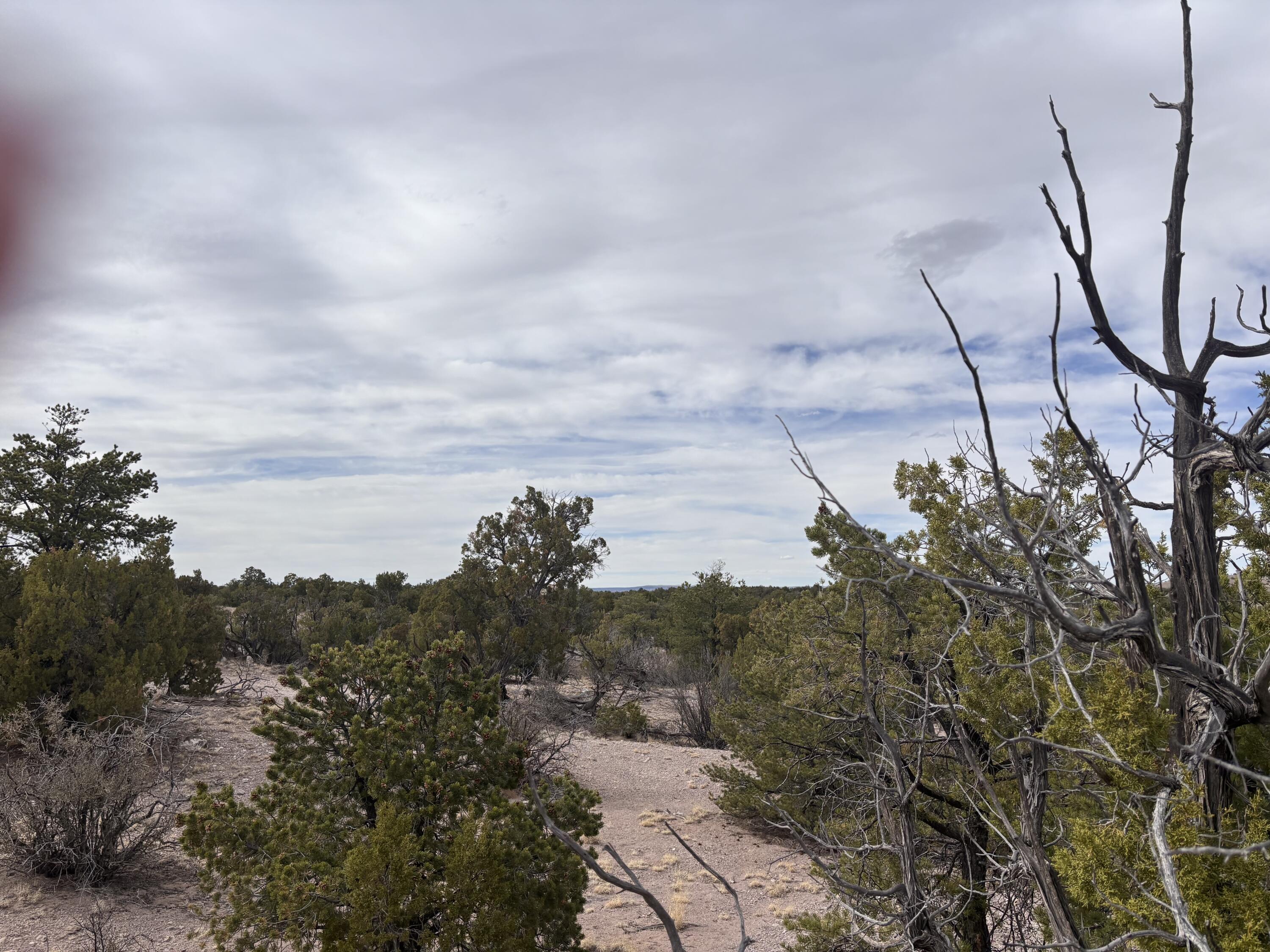 1451 Bridger Road, Rio Rancho, New Mexico image 8