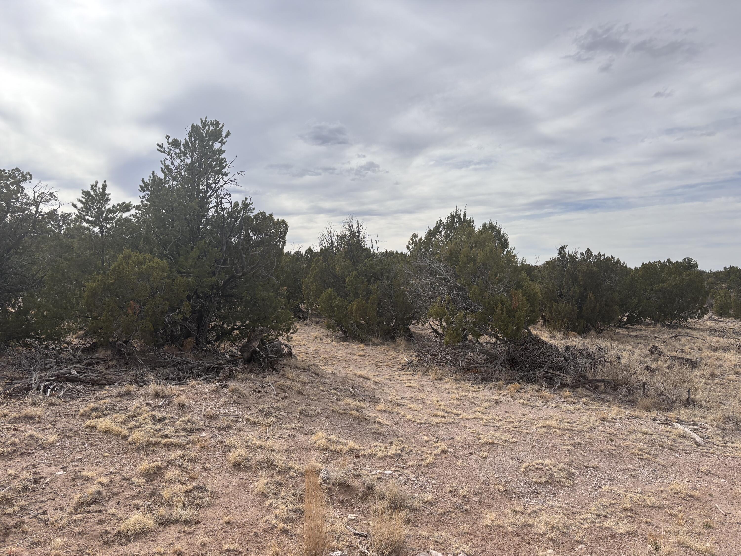 1451 Bridger Road, Rio Rancho, New Mexico image 5