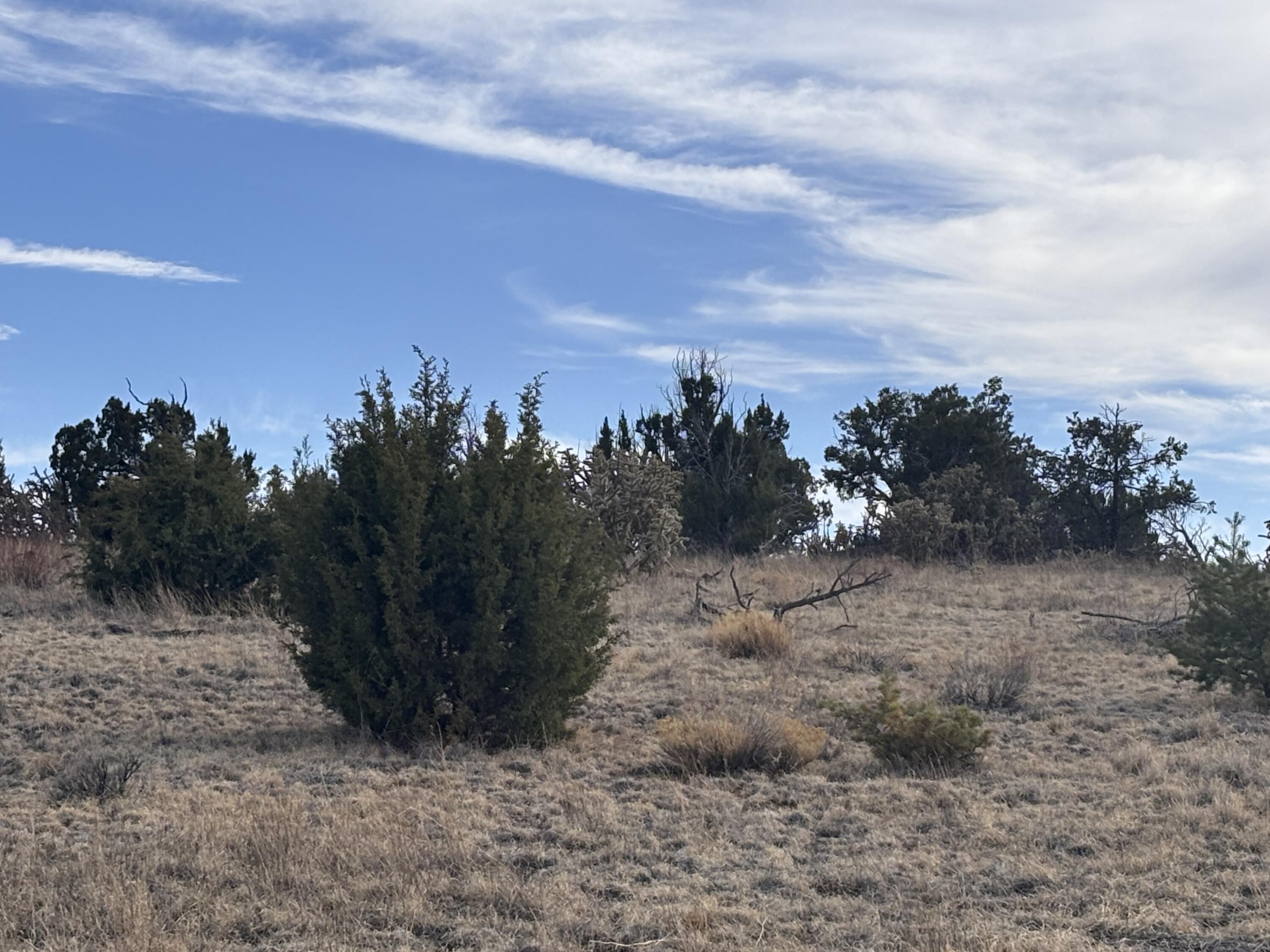 1451 Bridger Road, Rio Rancho, New Mexico image 10