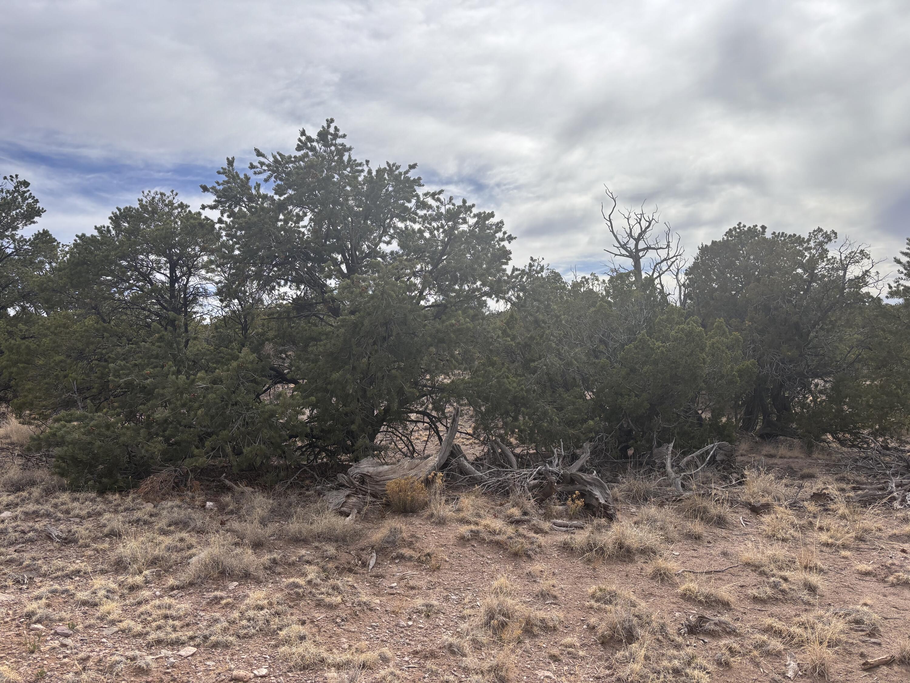 1451 Bridger Road, Rio Rancho, New Mexico image 2