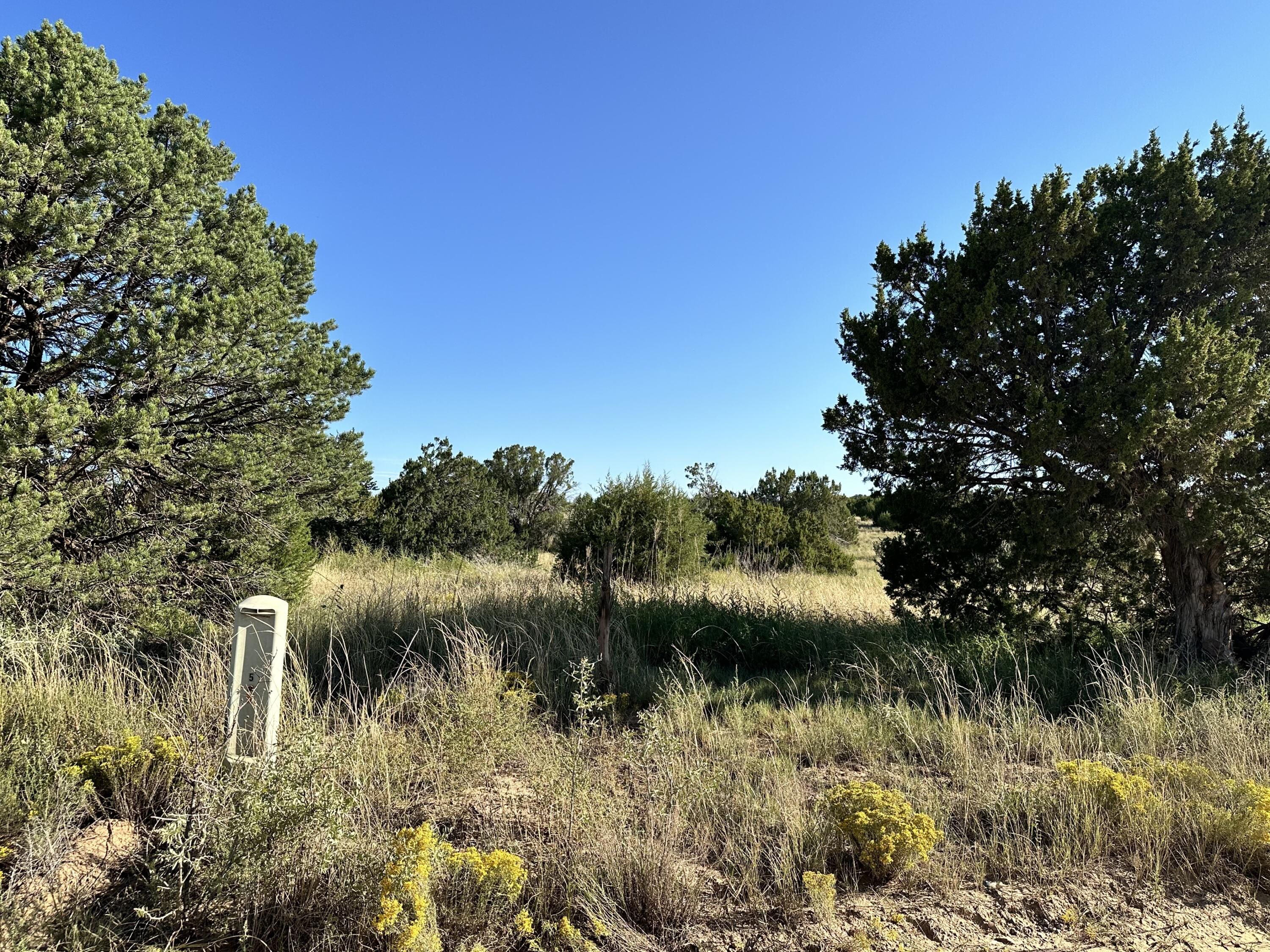 Lot 29 Block 3, Edgewood, New Mexico image 6