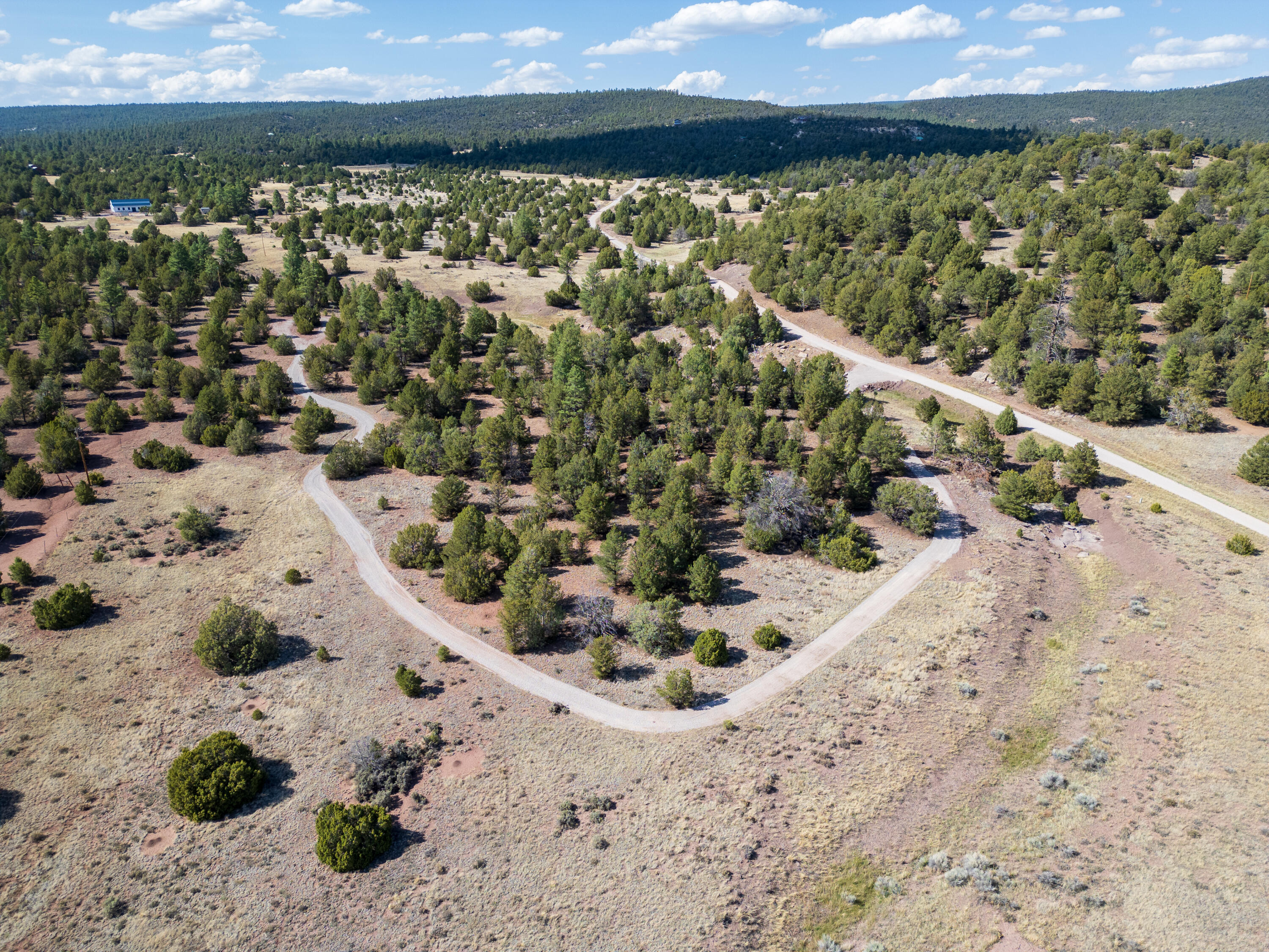 Lot 18 Buttonwood Drive, Ramah, New Mexico image 5