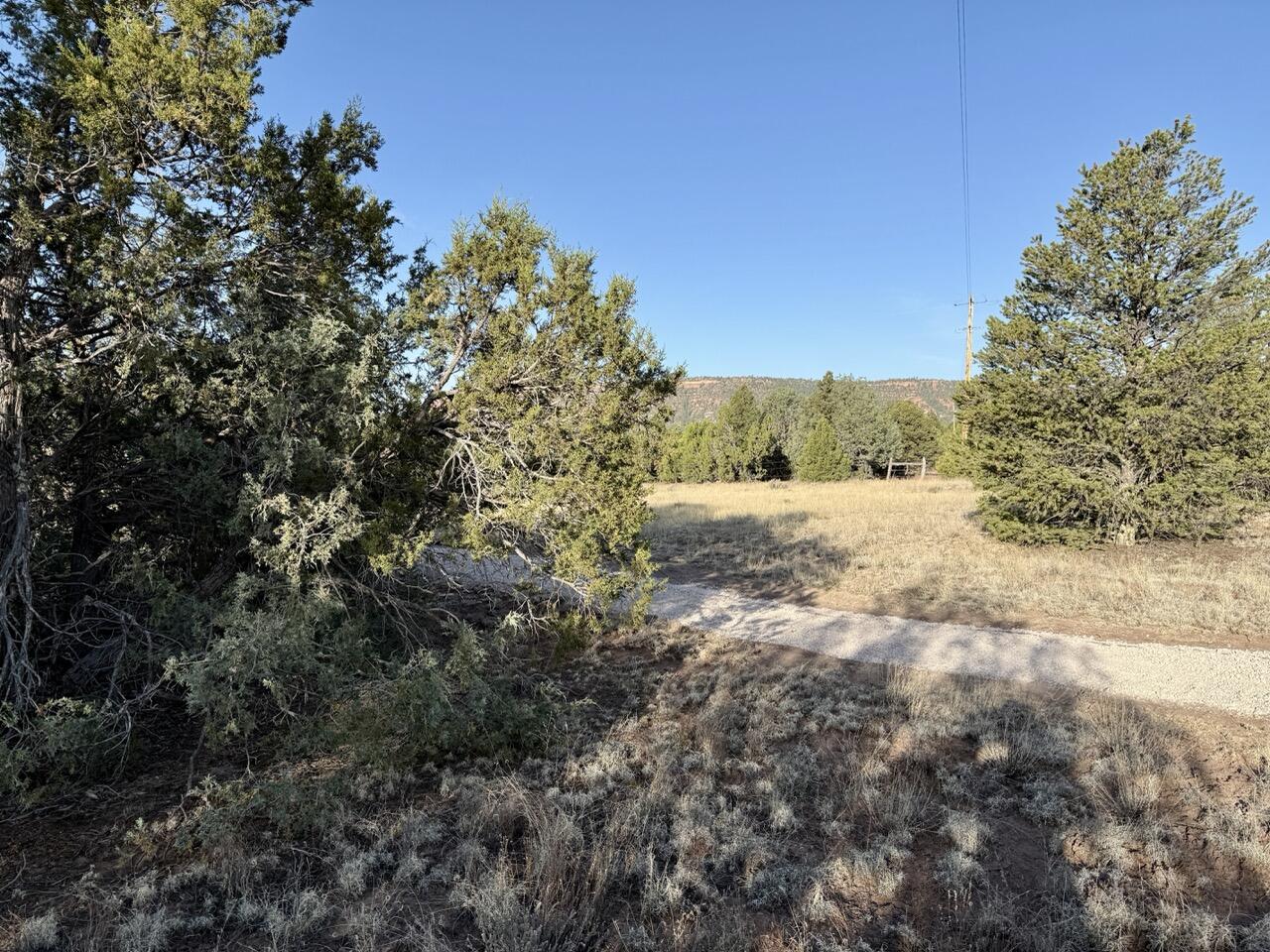 Lot 18 Buttonwood Drive, Ramah, New Mexico image 19