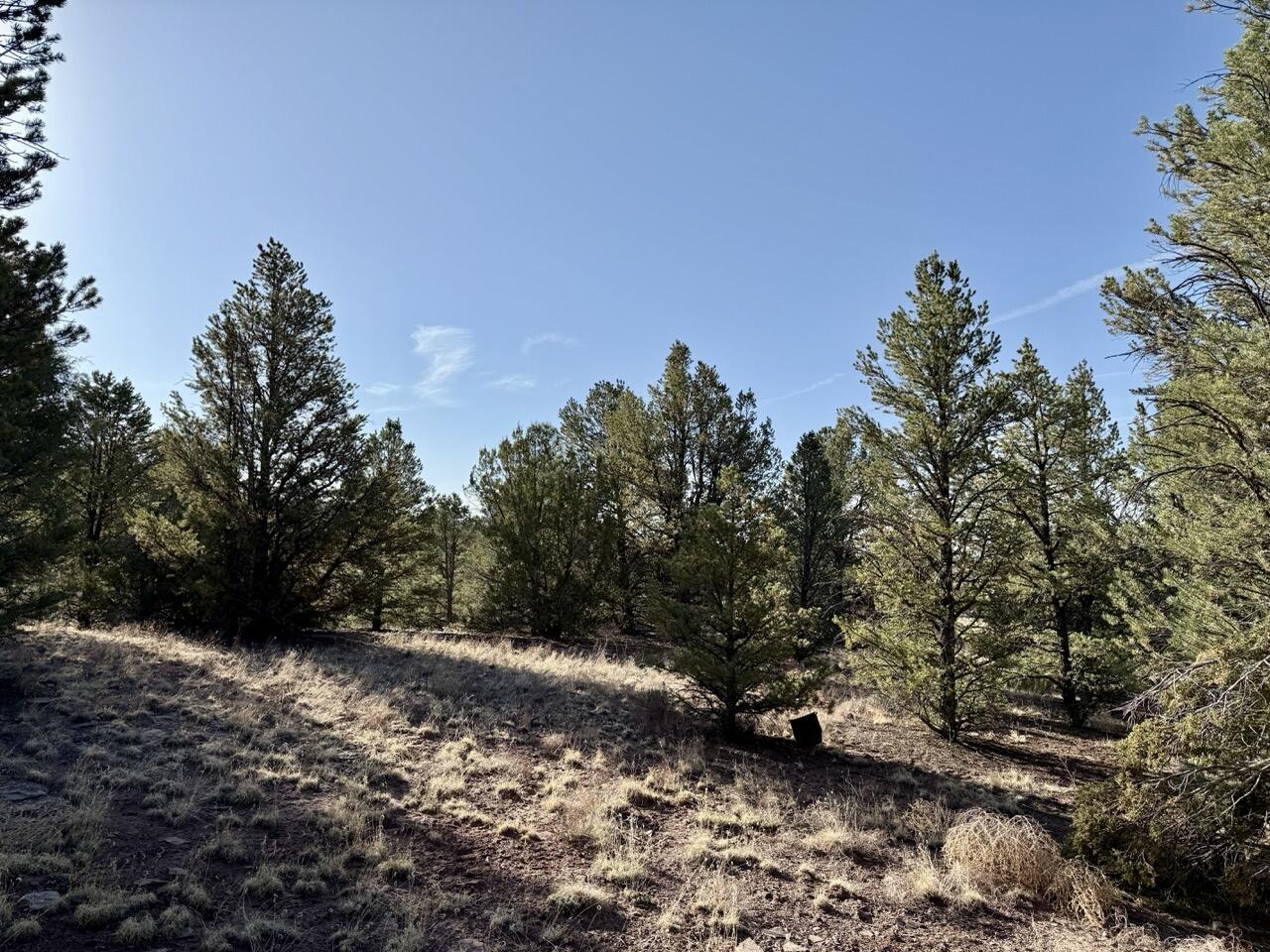 Lot 18 Buttonwood Drive, Ramah, New Mexico image 39