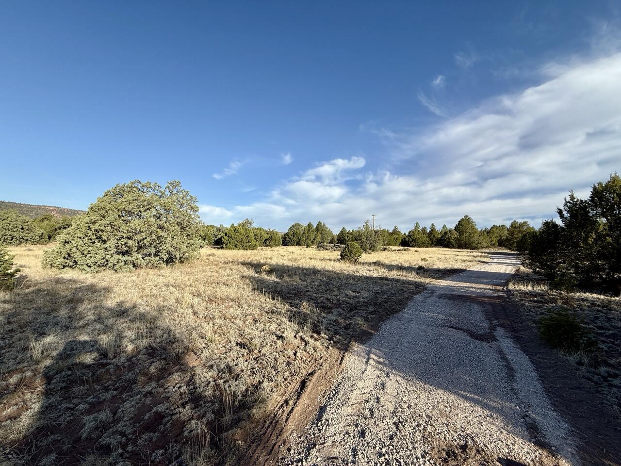 Lot 18 Buttonwood Drive, Ramah, New Mexico image 29
