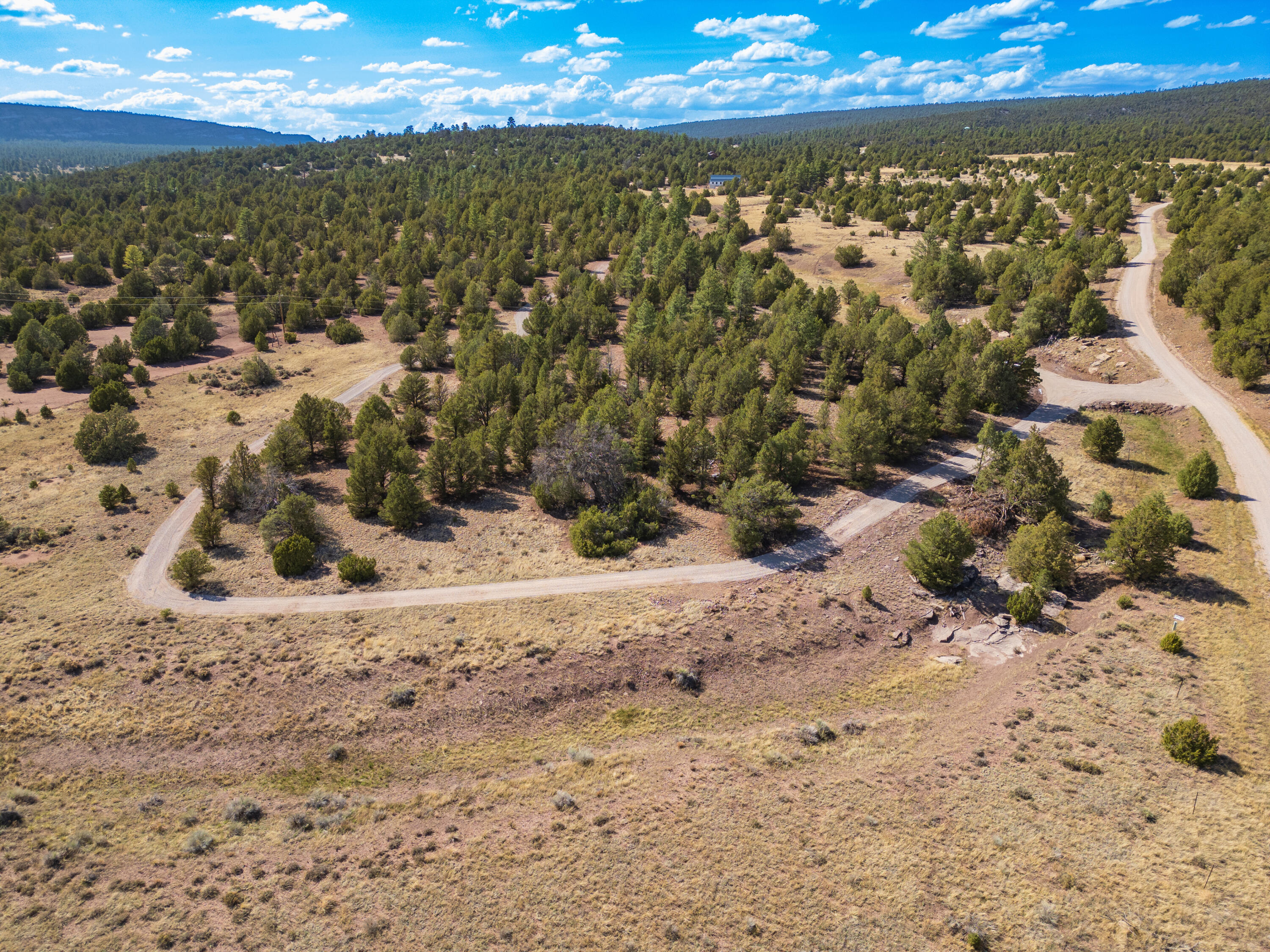 Lot 18 Buttonwood Drive, Ramah, New Mexico image 6