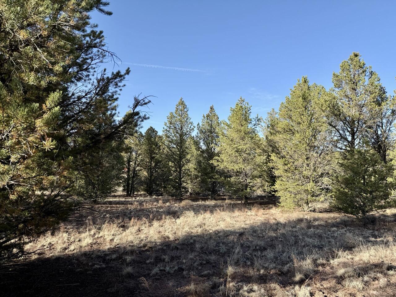 Lot 18 Buttonwood Drive, Ramah, New Mexico image 26